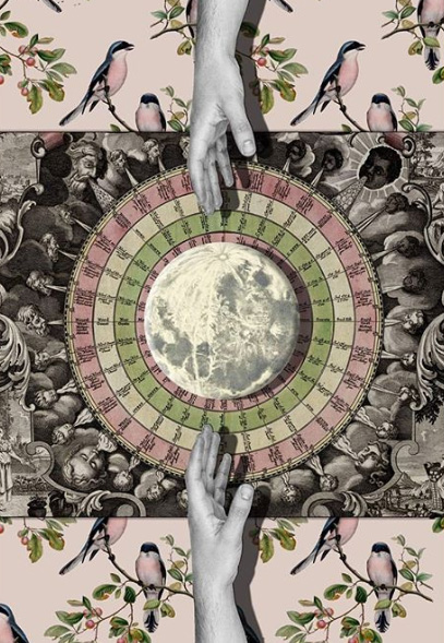 Regina Lafay Bellamy