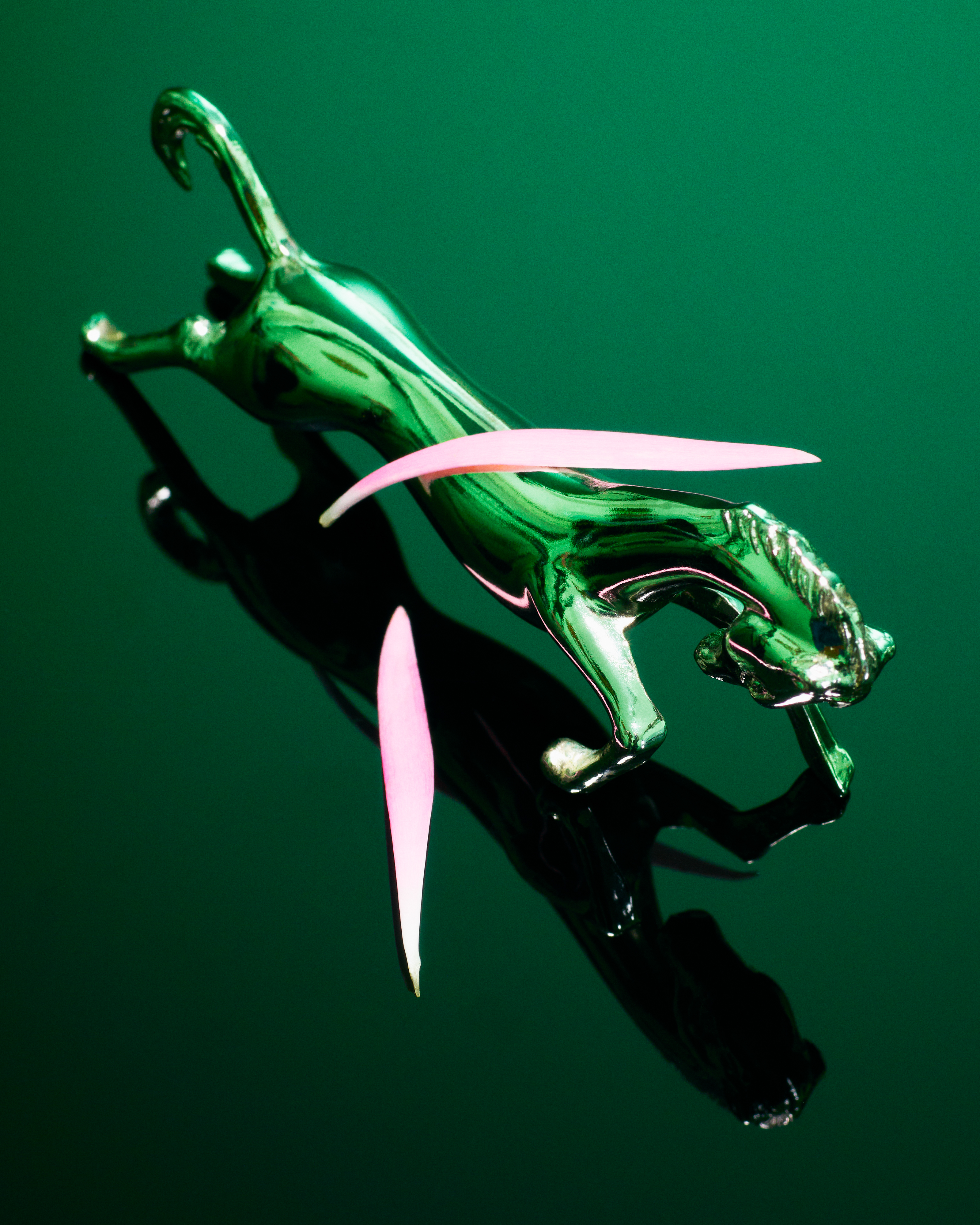 DINNER PARTY WITH SUNDĒ FLEURS