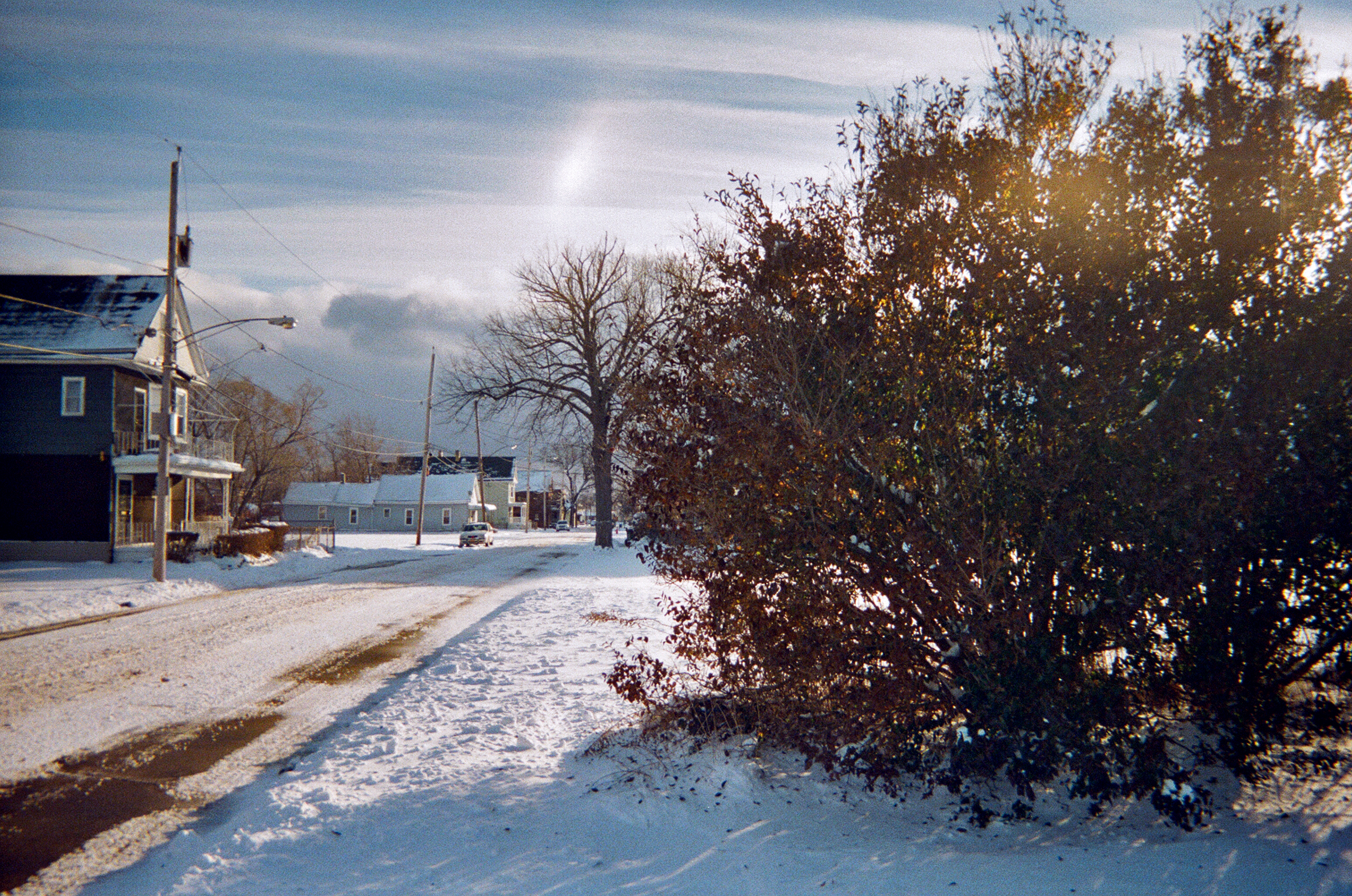 Bush, Buffalo, NY, 2017