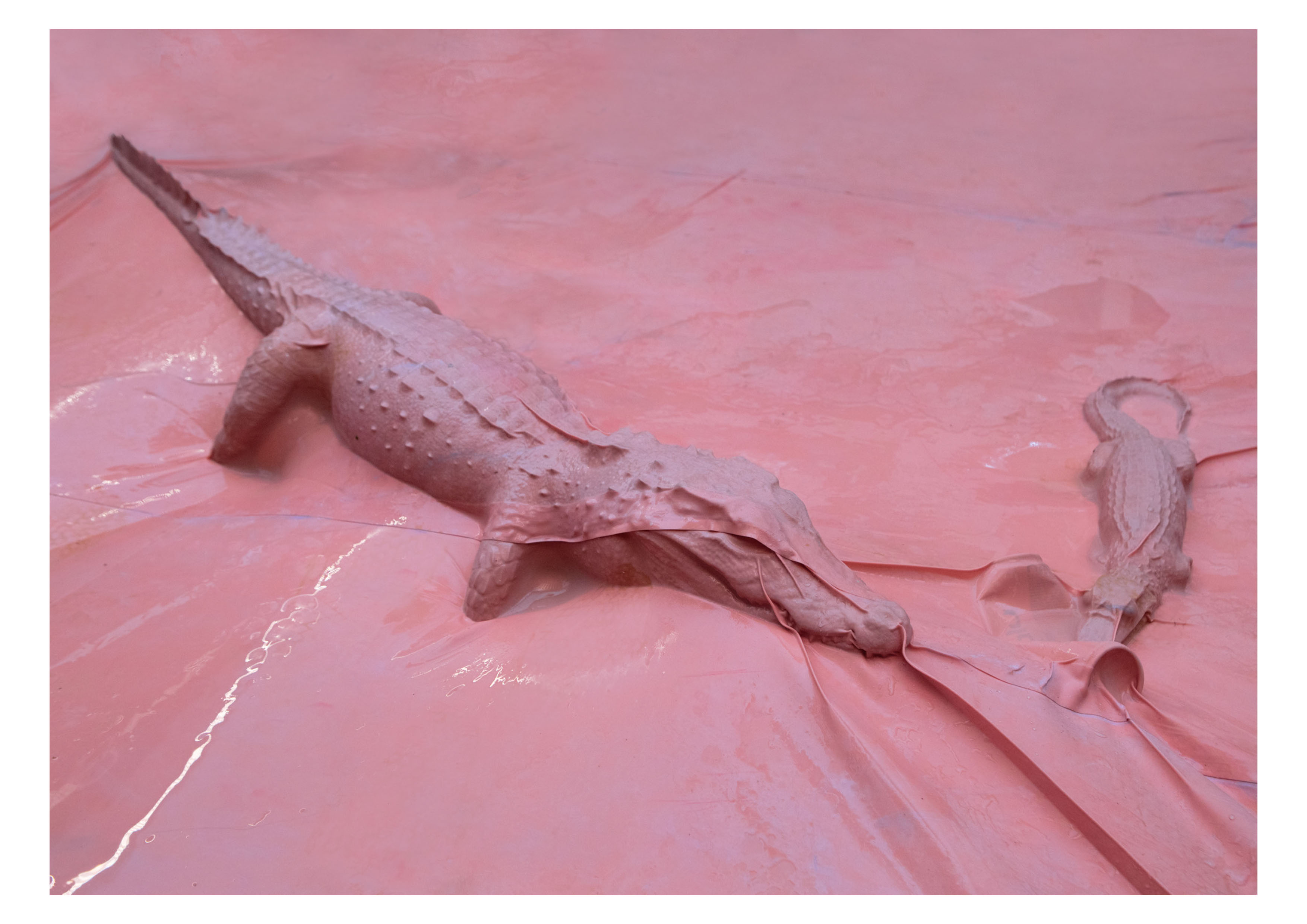 Still life, 2020, expo James Ensor recomposed by Athos Burez, Ostend