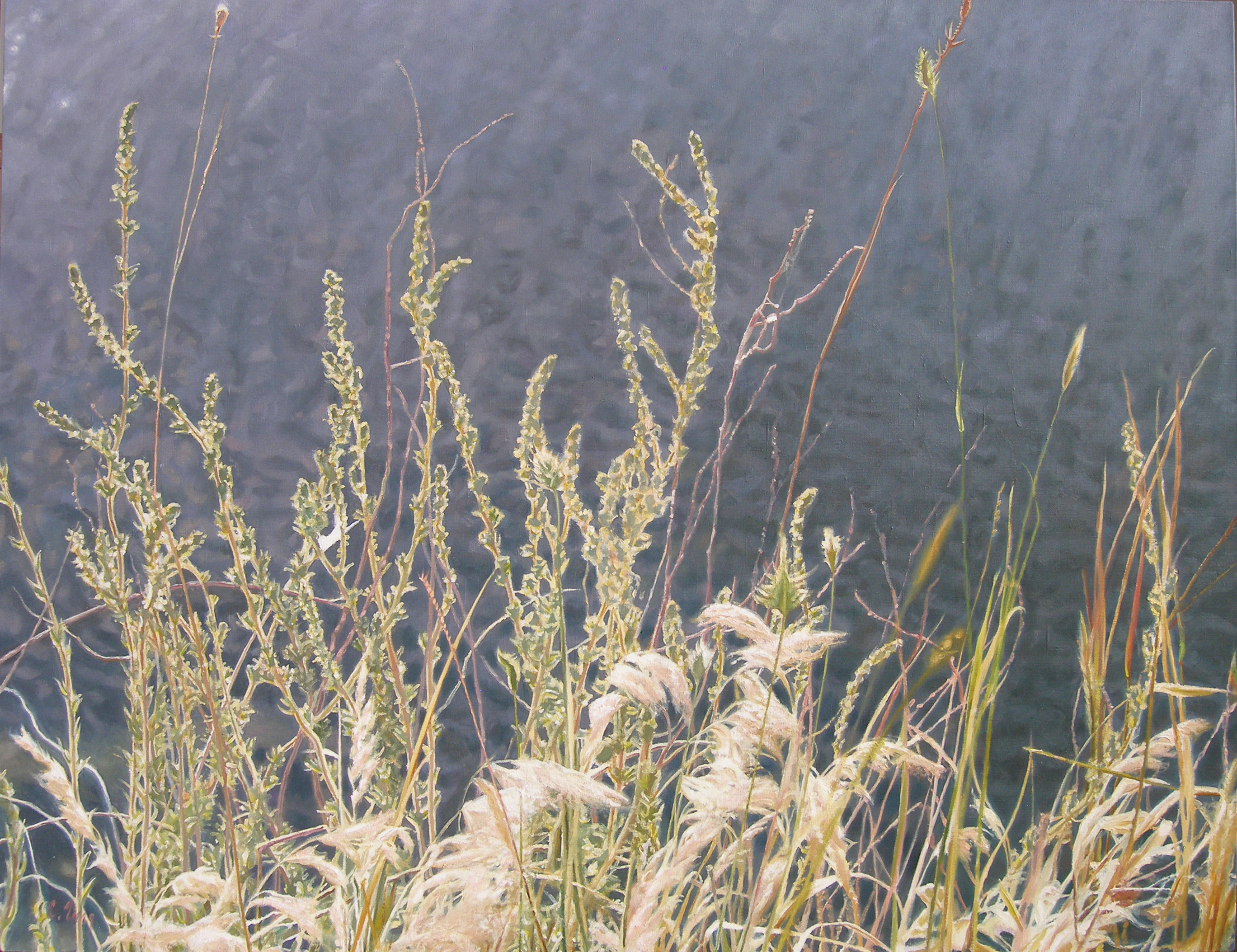 "Coastal grasses", 100 x 130 cm, oil on canvas