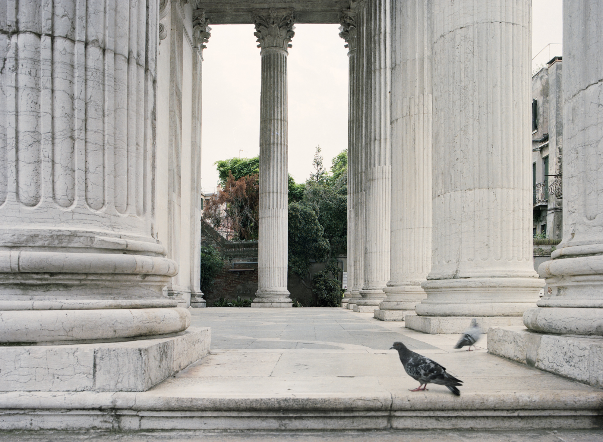 Tolentini, Venice, 2020