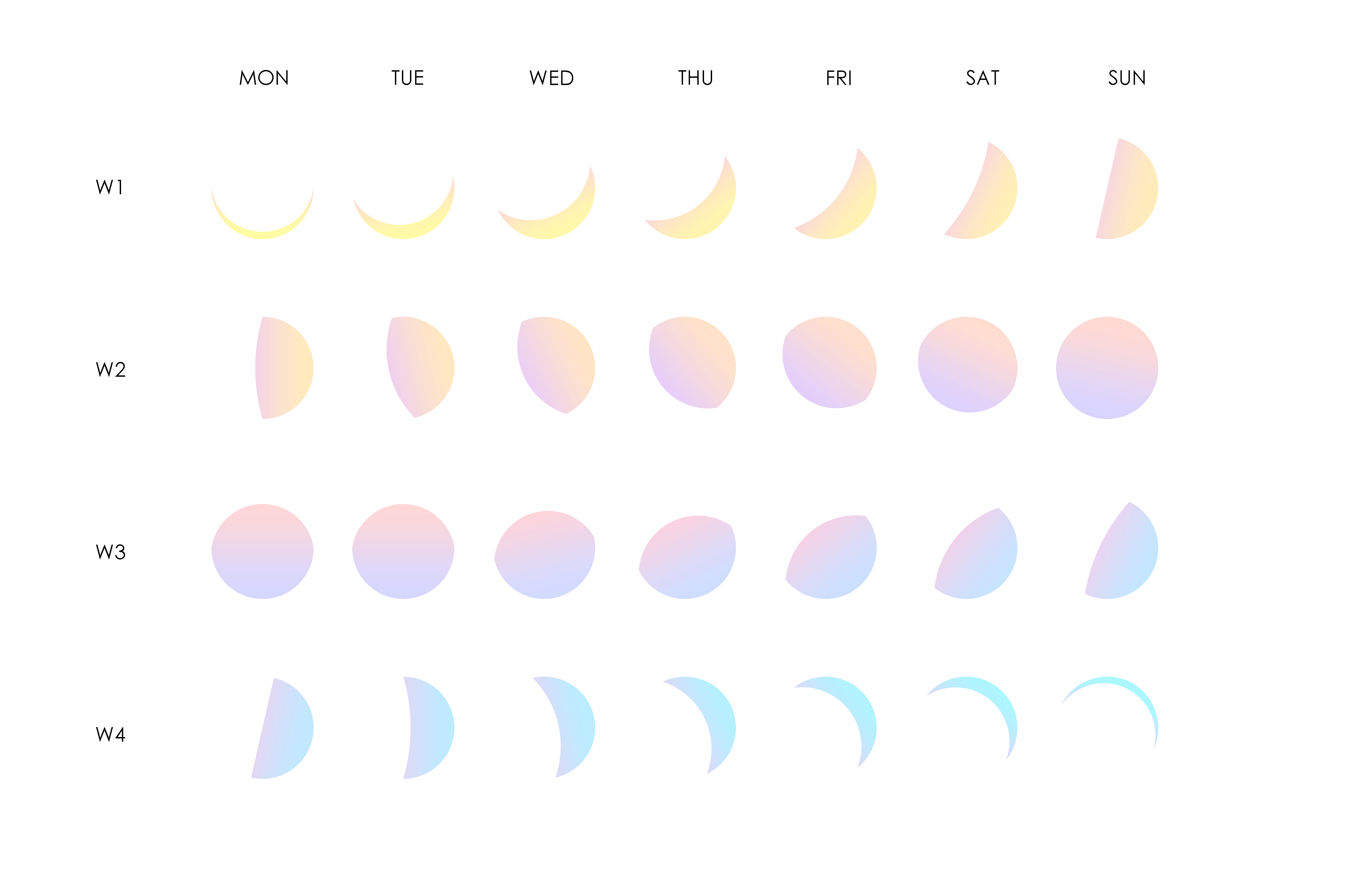 28 Days Cycle
