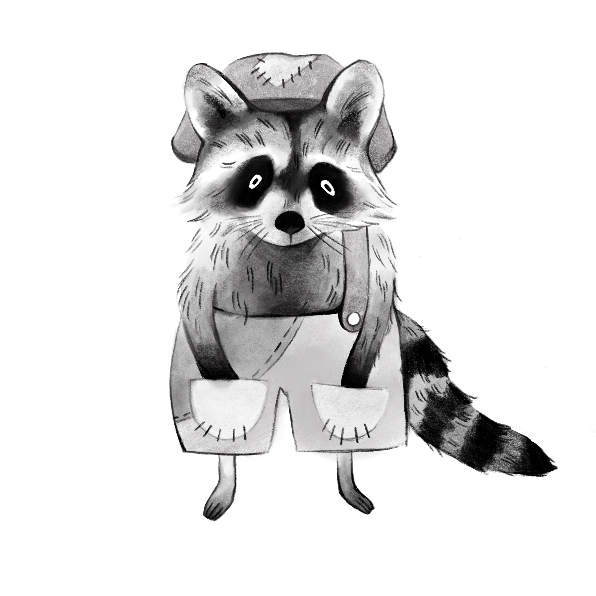 Raccoon