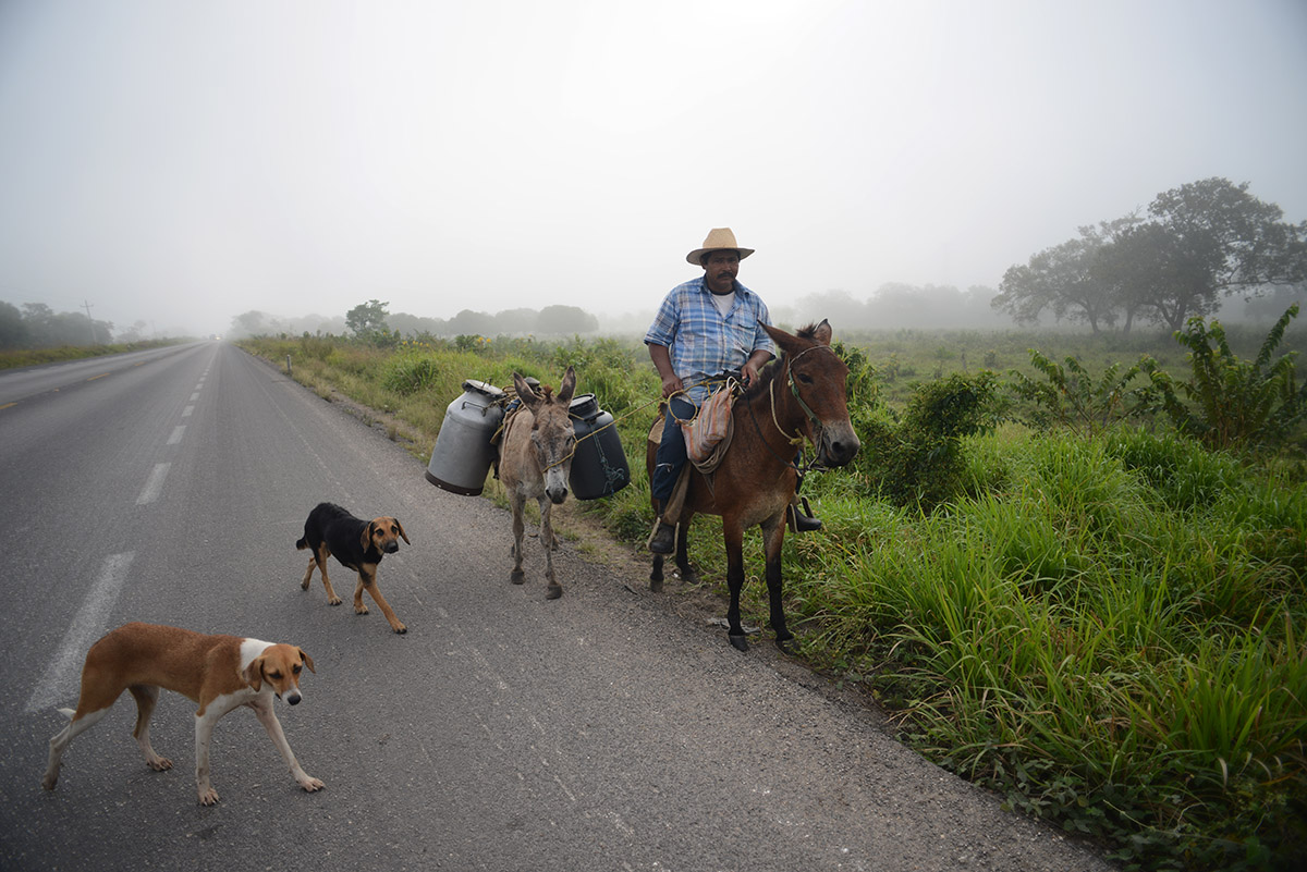 Campeche, Mexico 2014.