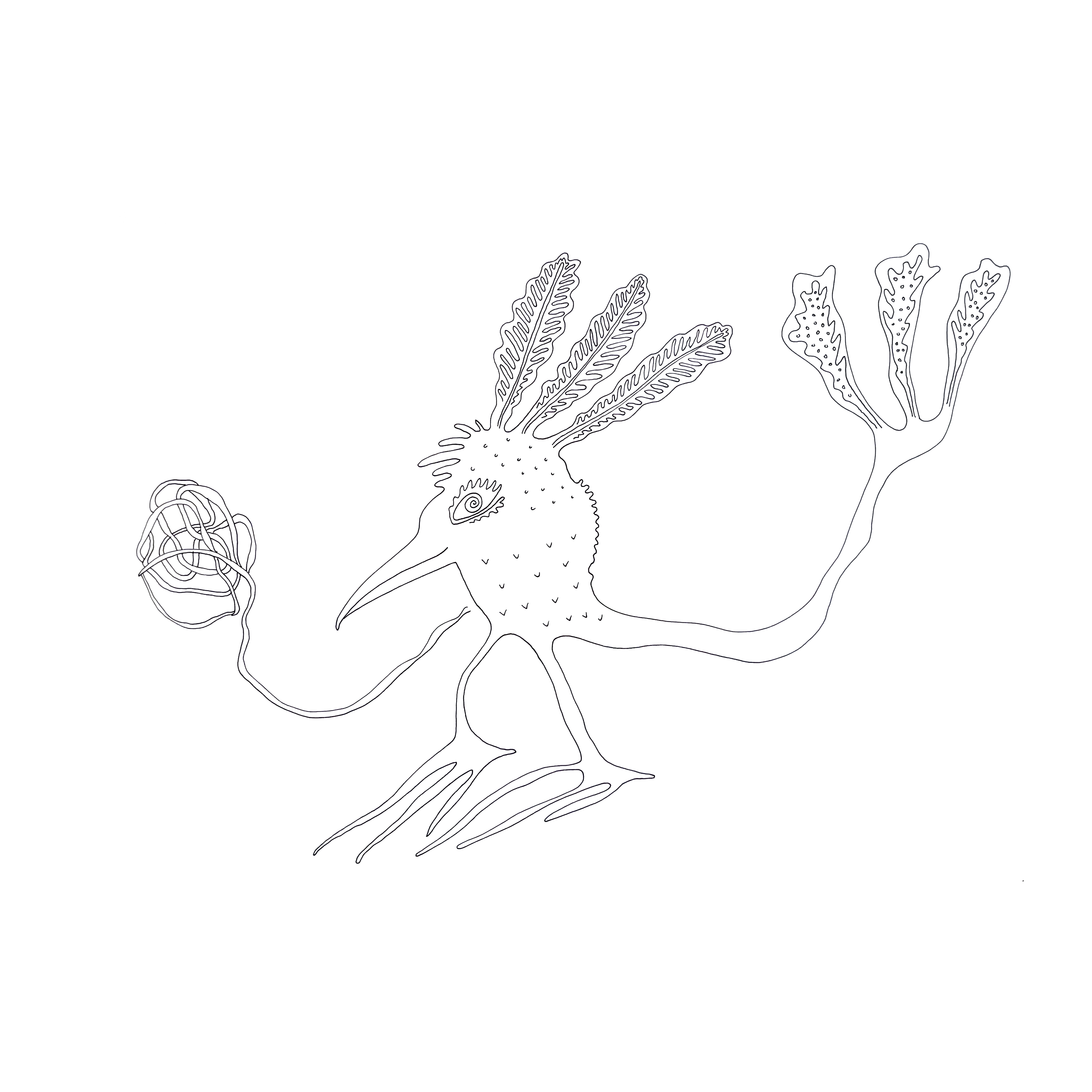 cuckoochick🐣🐥🦜🦅