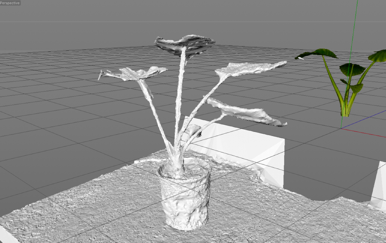   	First volumetric scan, image set taken in studio with natural light. Volumetric scan not enough detail due to low light