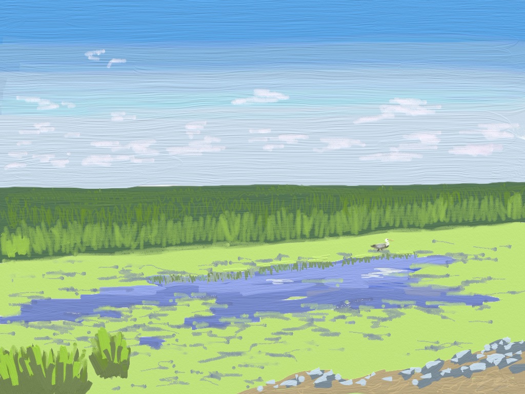 S1.27 - Montezuma heron