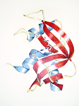  Lysozyme. Acrylic. 2005.