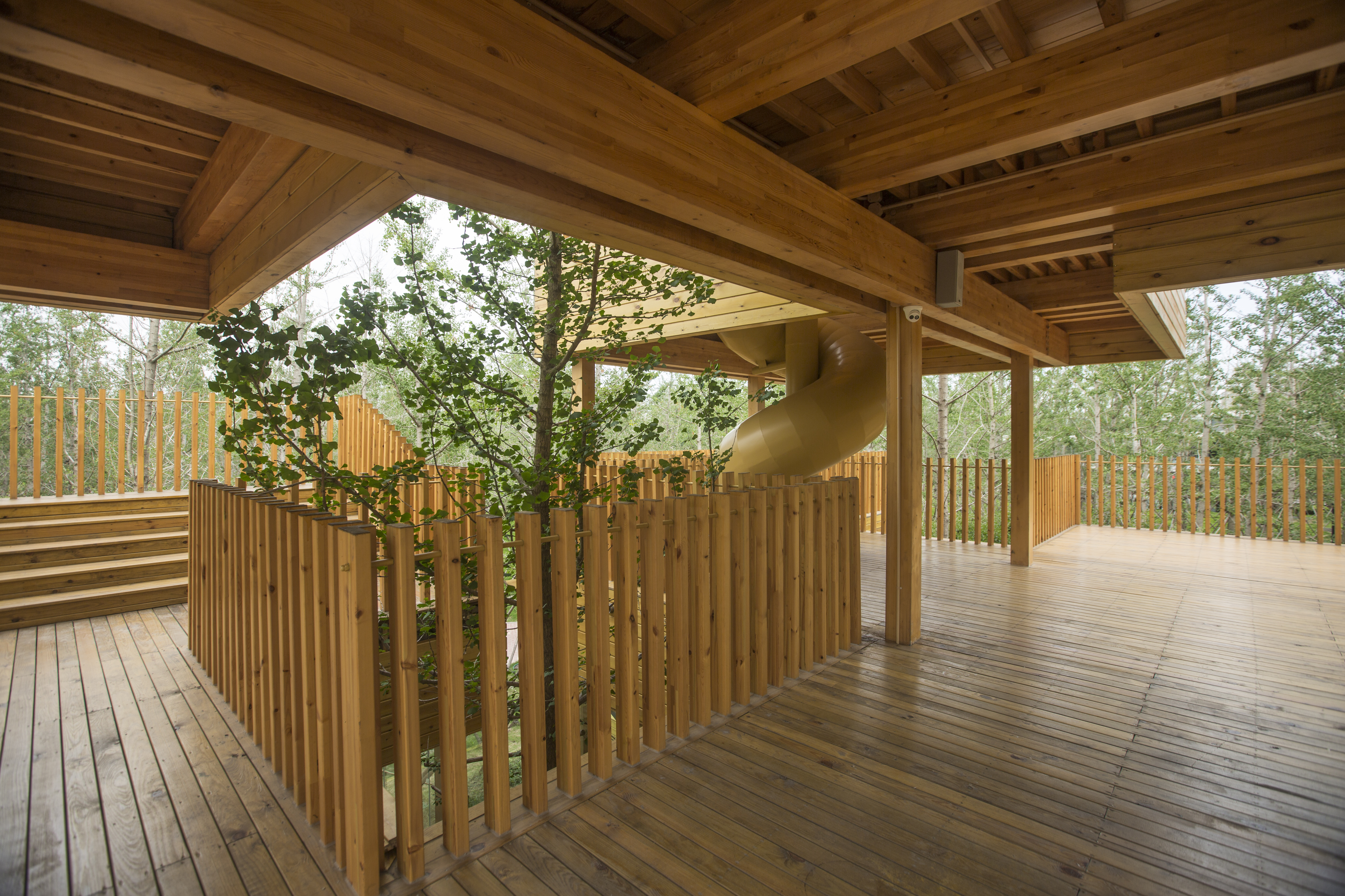 Three different levels offer three different viewpoints to the ginkgos and to the forest. The pavilion becomes more playful as you go up.  Slabs fold up to create sitting corners to contemplate the ginkgos. A slide goes down from the 2nd floor and only the ones who manage to climb up the net will get the best views. Kids take over.
