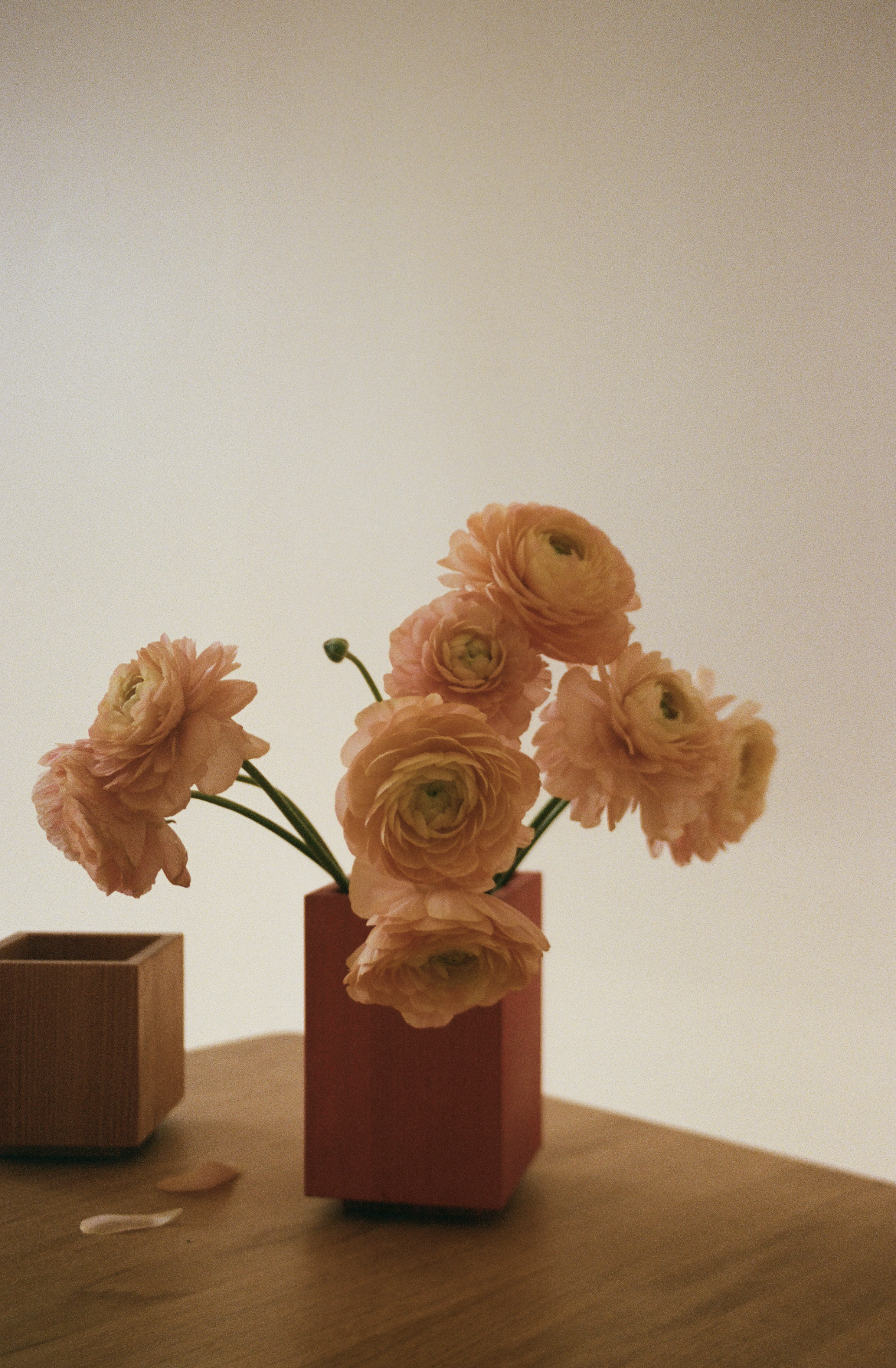 Photography & Art Direction, Still life for A Seat in Siena. 2022 