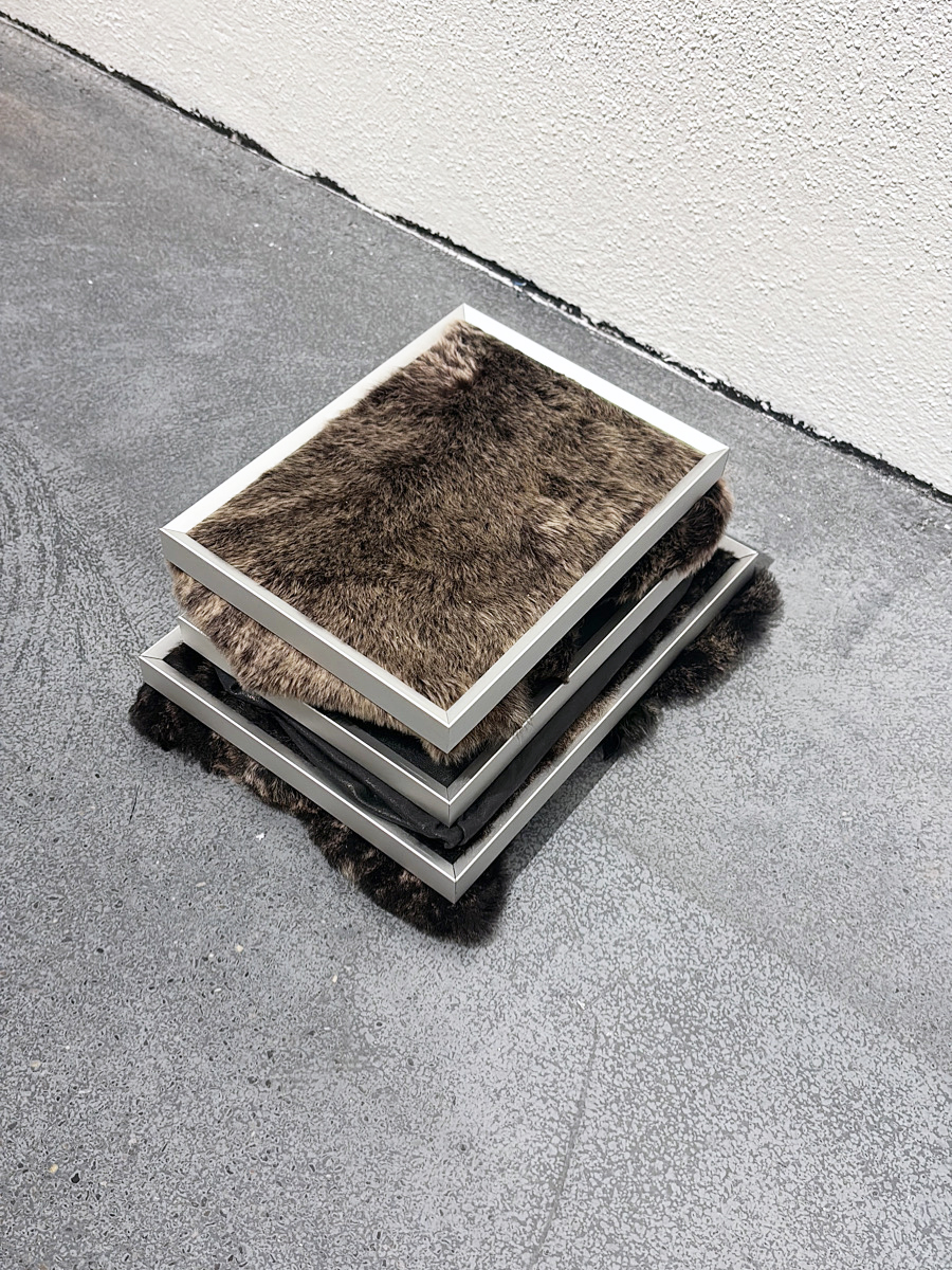 (c) Lukas Weithas (ohne Titel, 2025)