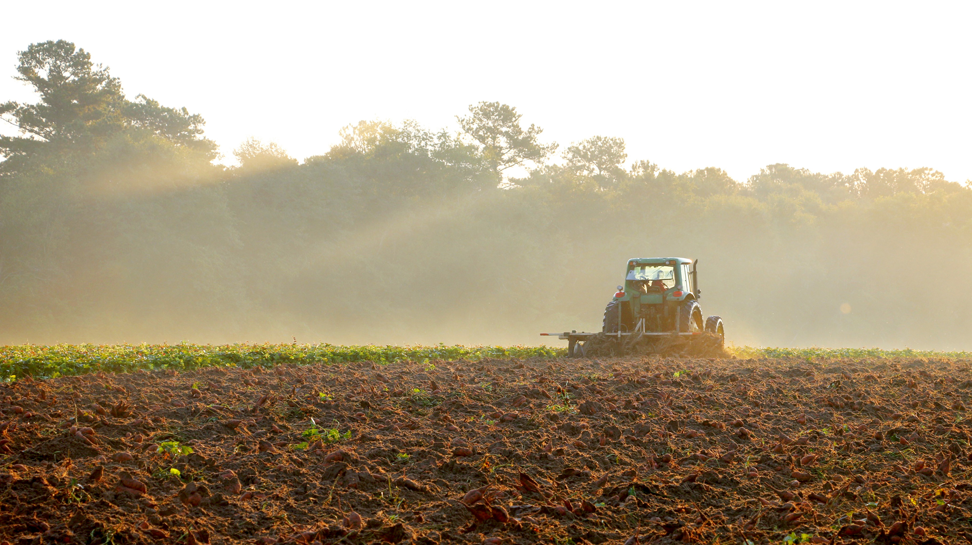 A tractor plowing a field in the distance in with the glow of a setting sun at evening.