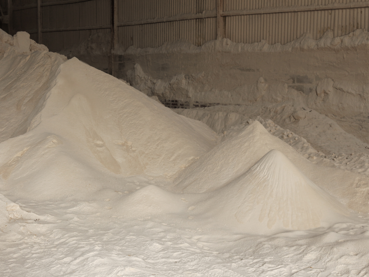 03.2021  Visite et tournage aux ateliers Vieujot, fabricant de plâtre en Île-de-France. 