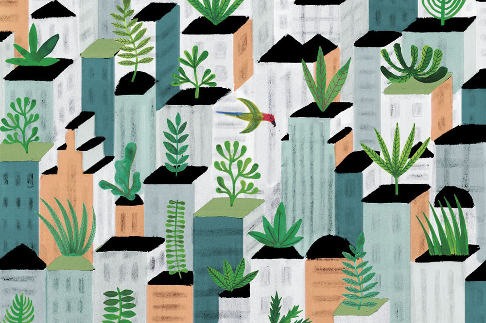 There is plenty of nature within the concrete jungle, Assemble Papers explains how it’s important for your well being to connect with it.