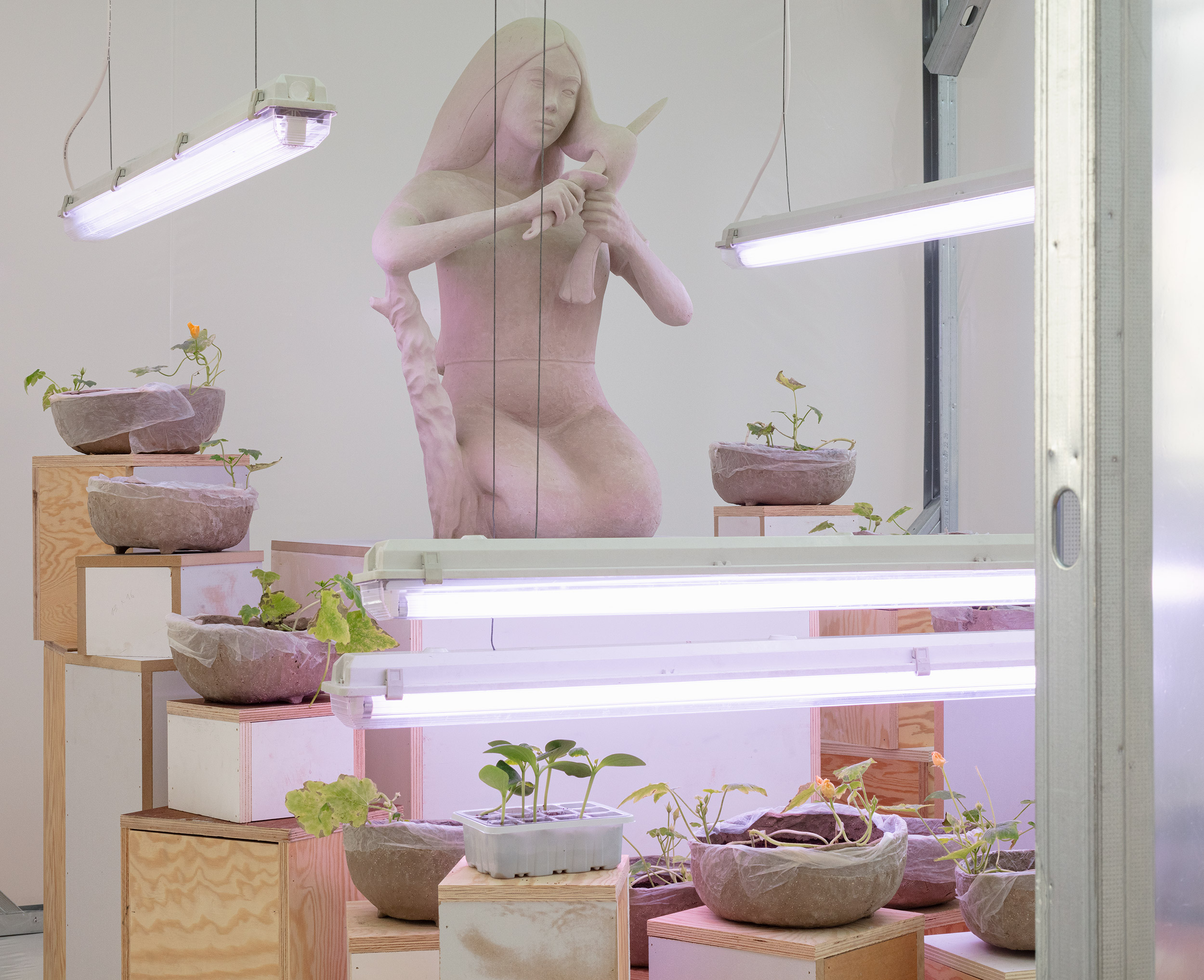 Self Portrait as Mulan (installation, Ghost Eat Mud, Kunsthal Gent)Raw clay, grow lights, steel, wood, plastic, ventilation, soil, zucchini seedlings, misting system