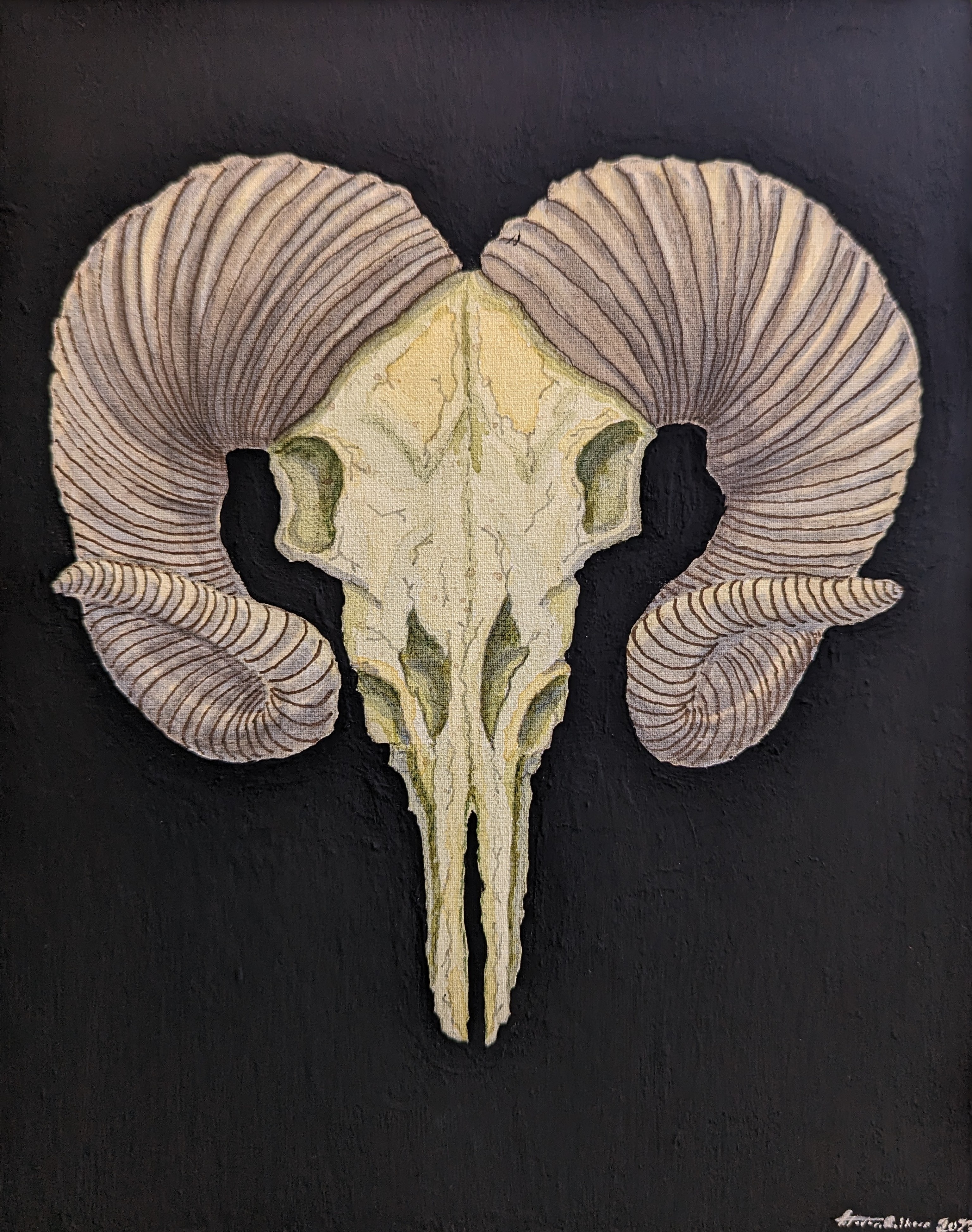 Old Skull, Watercolor, Pen, Acrylic