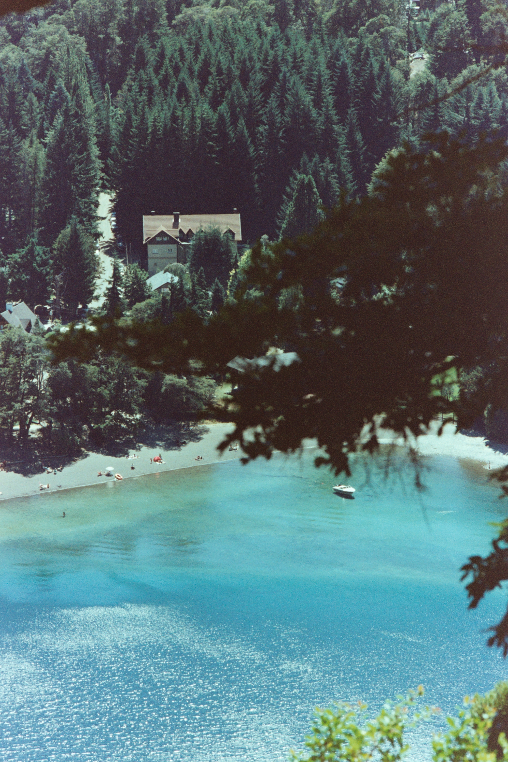 Patagonia, Argentina 2020 (35mm)