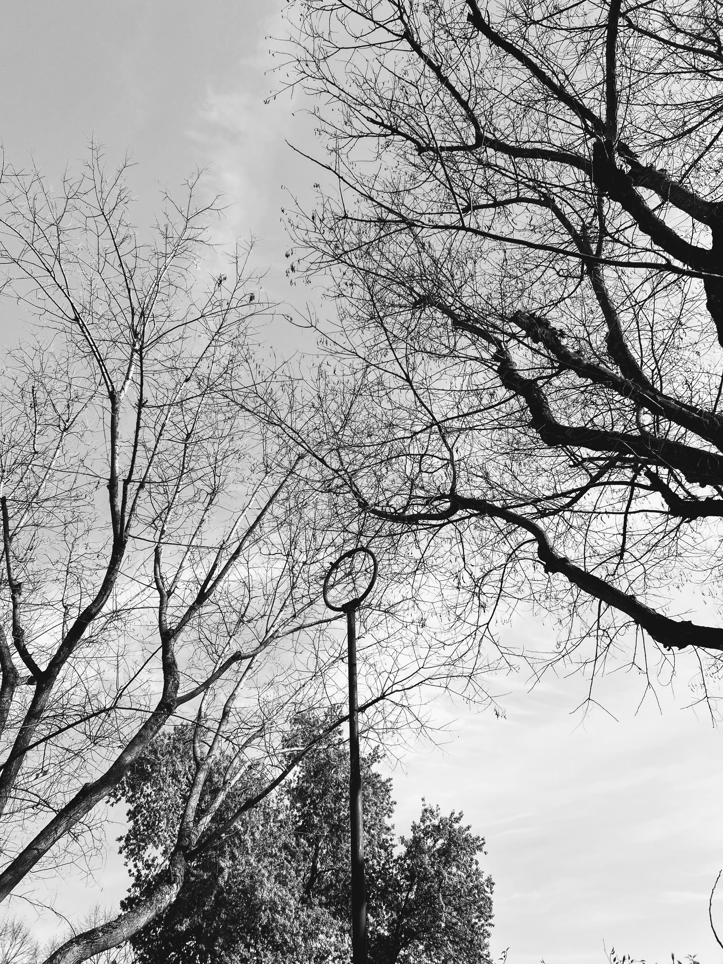 Anello del quiddich?, Bologna, 10-4-22