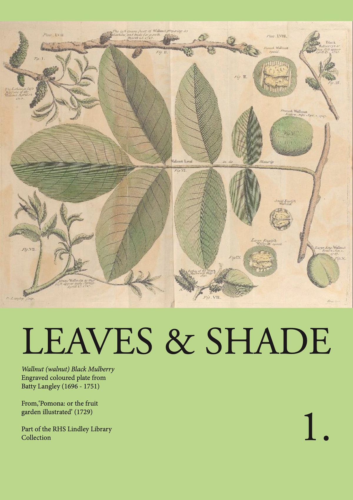Cover of Leaves & Shadem featuring a Walnut