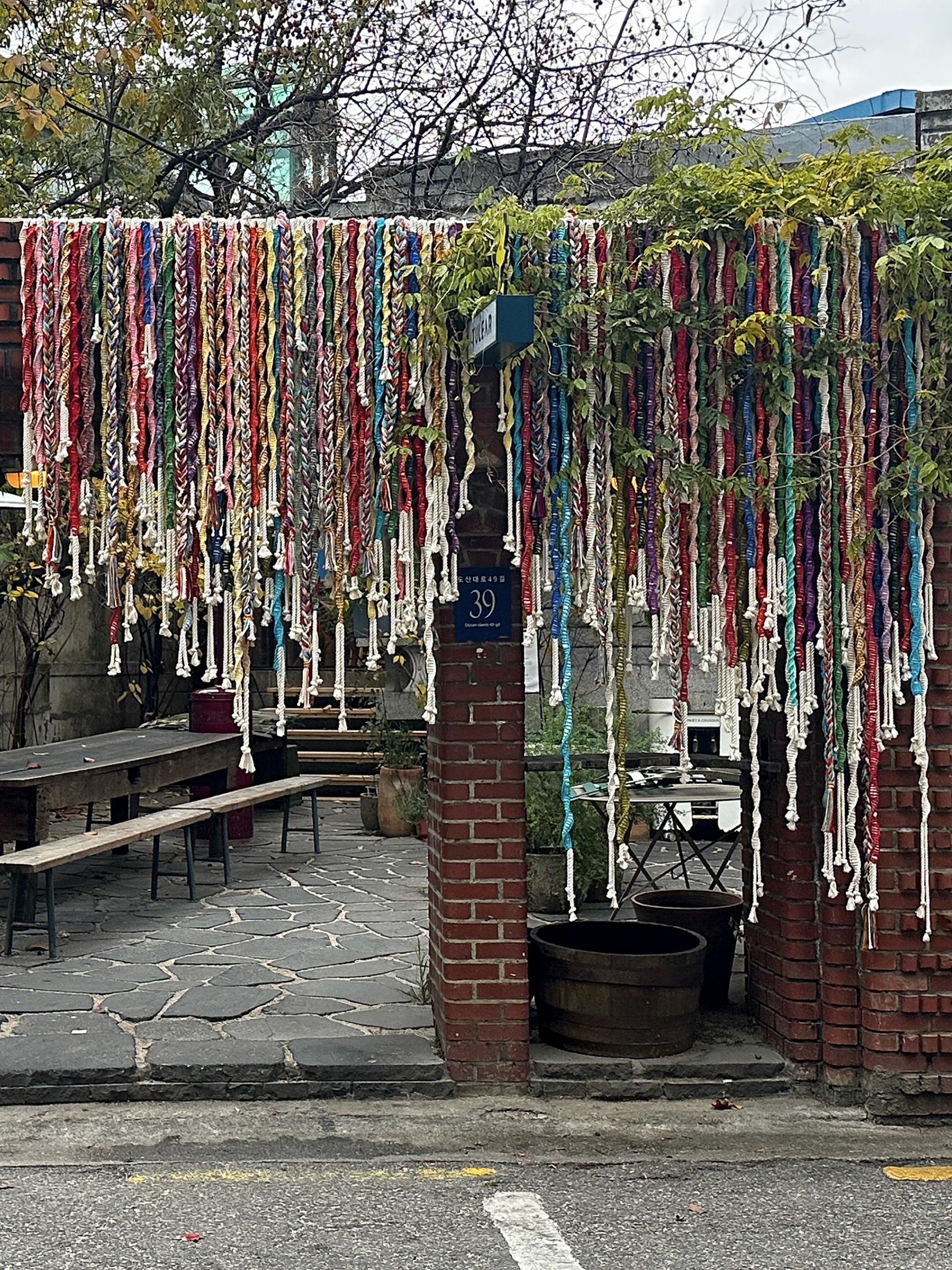 Multichromatic Tendril / 2025