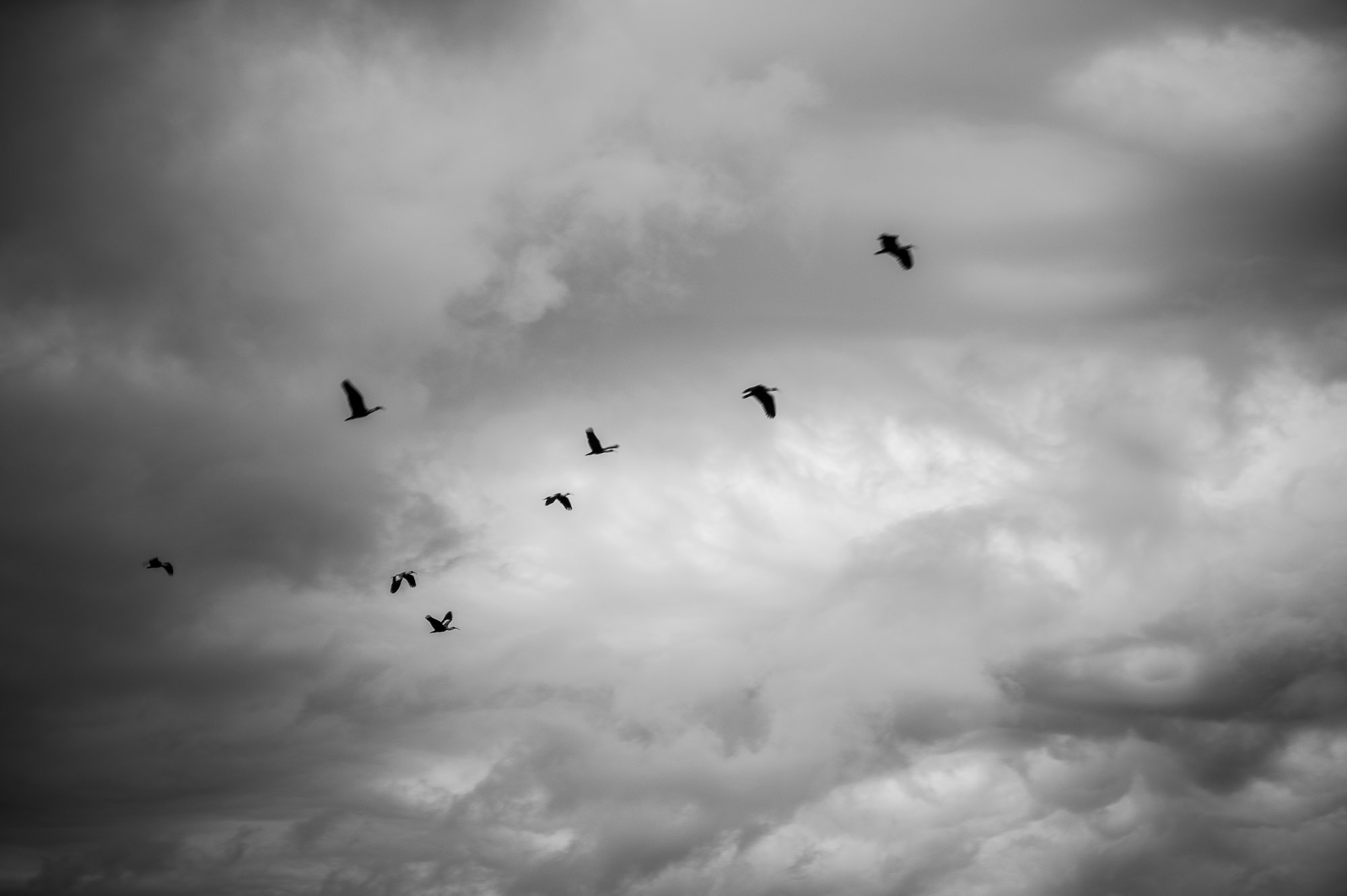 Brazil, Minas Gerais #2