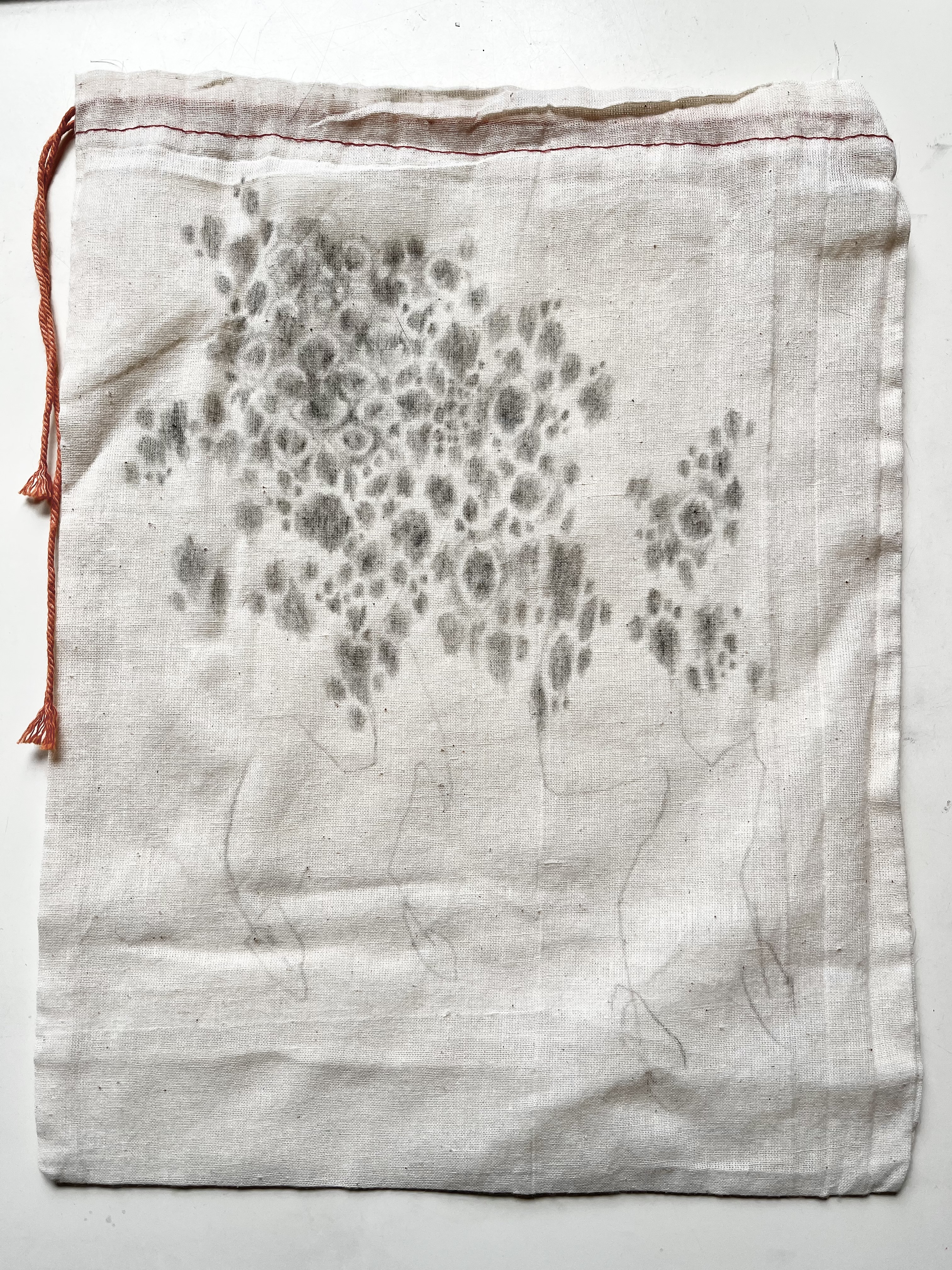 Parallel Horse, 2022. Graphite on found bag.