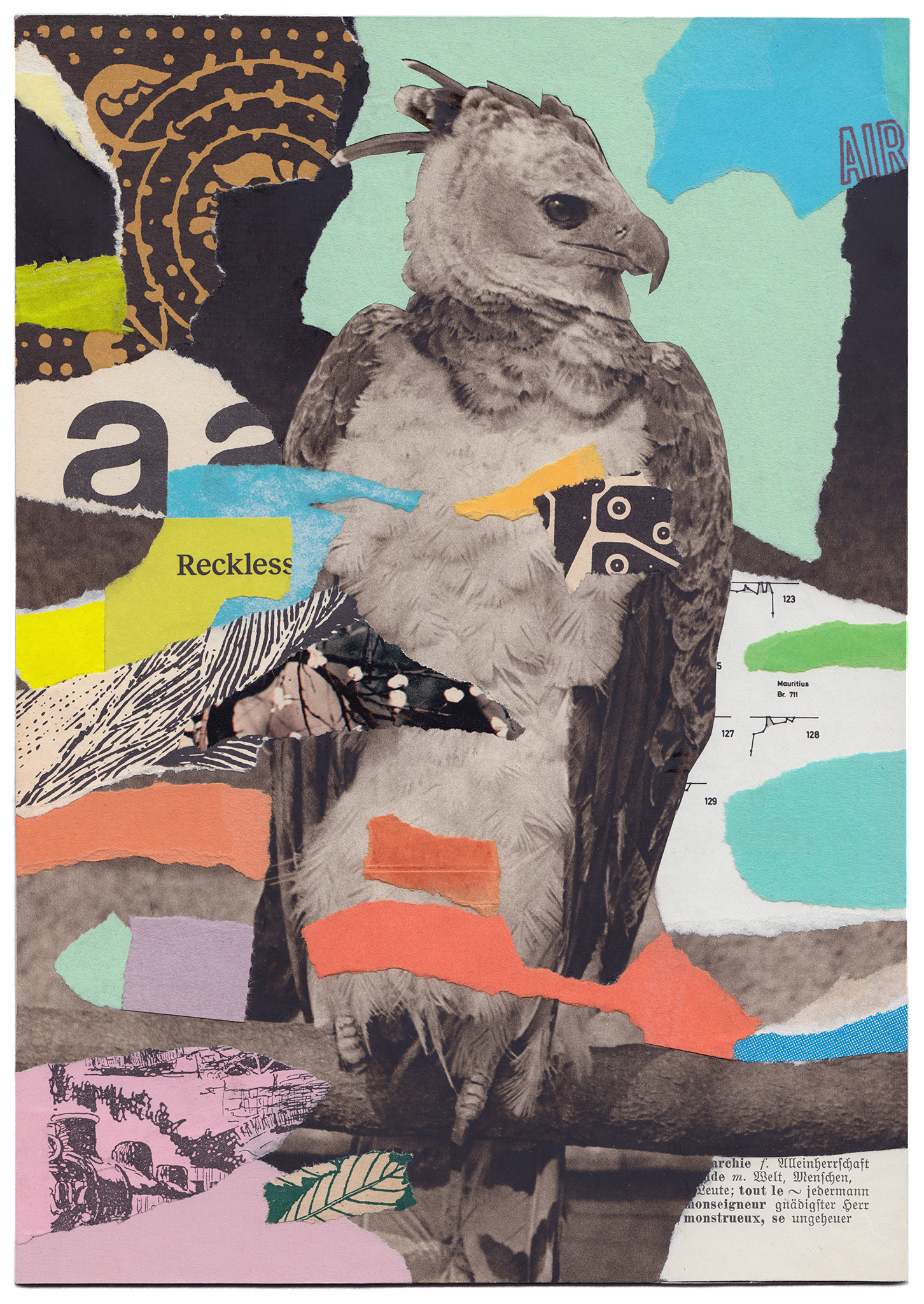 a Reckless monstreux