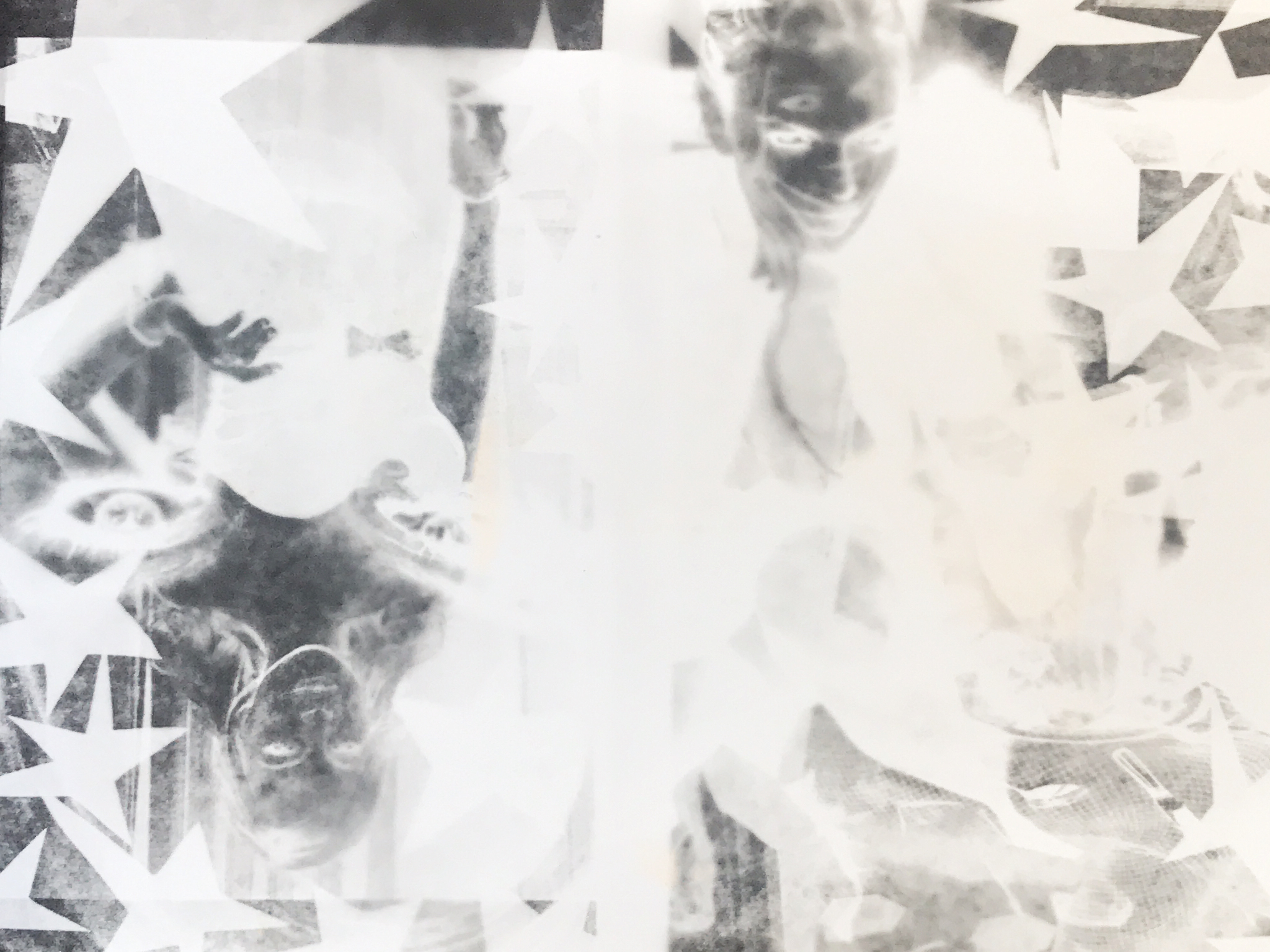 LindZine Photogram (Negative), 2017