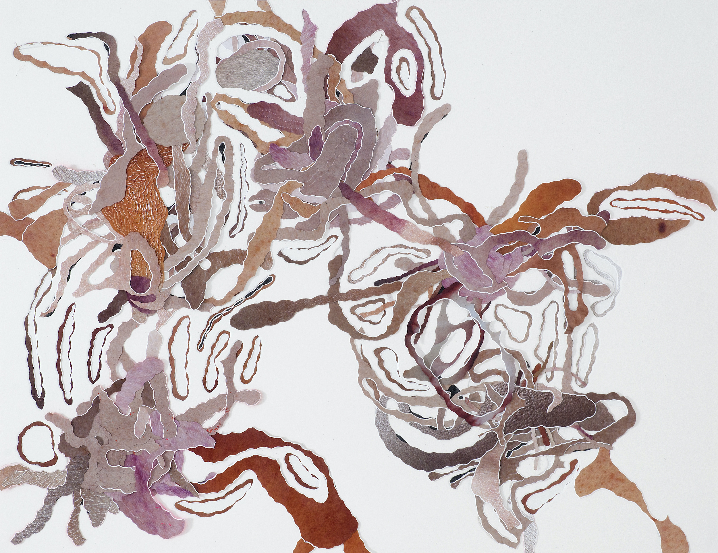  Untitled, 2009 (detail) . Cuts, carvings and perforation on paper and on fragments of photographs .  150 x  130 cm .  Private Collection, São Paulo, Brasil