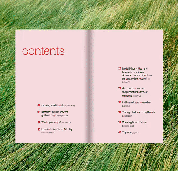 Zine layout for UT Asian American Journalists Association. Illustrations by Angela Lim.