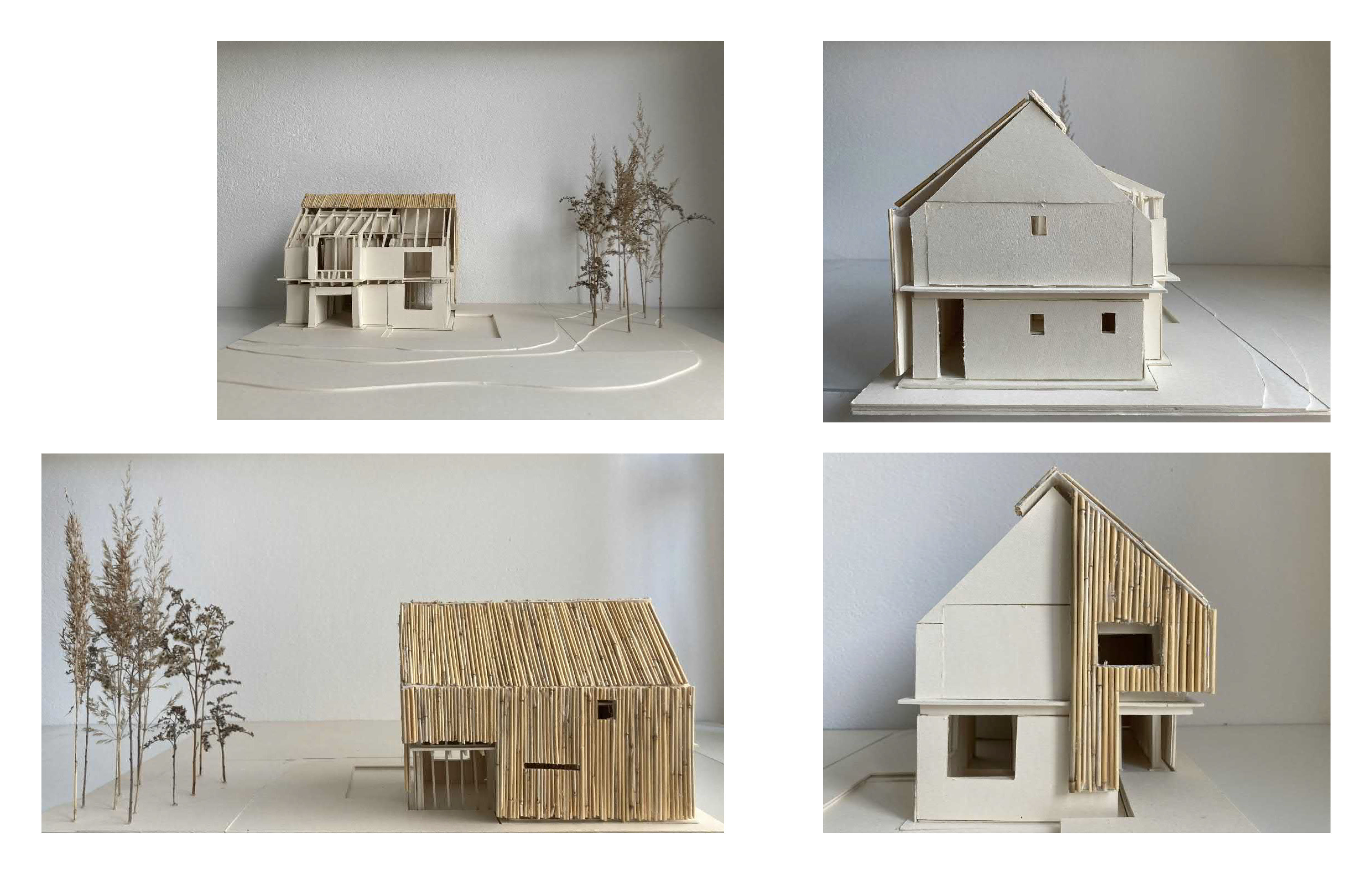 Covered in Reed, Jessica Klinge, Lenika Walter