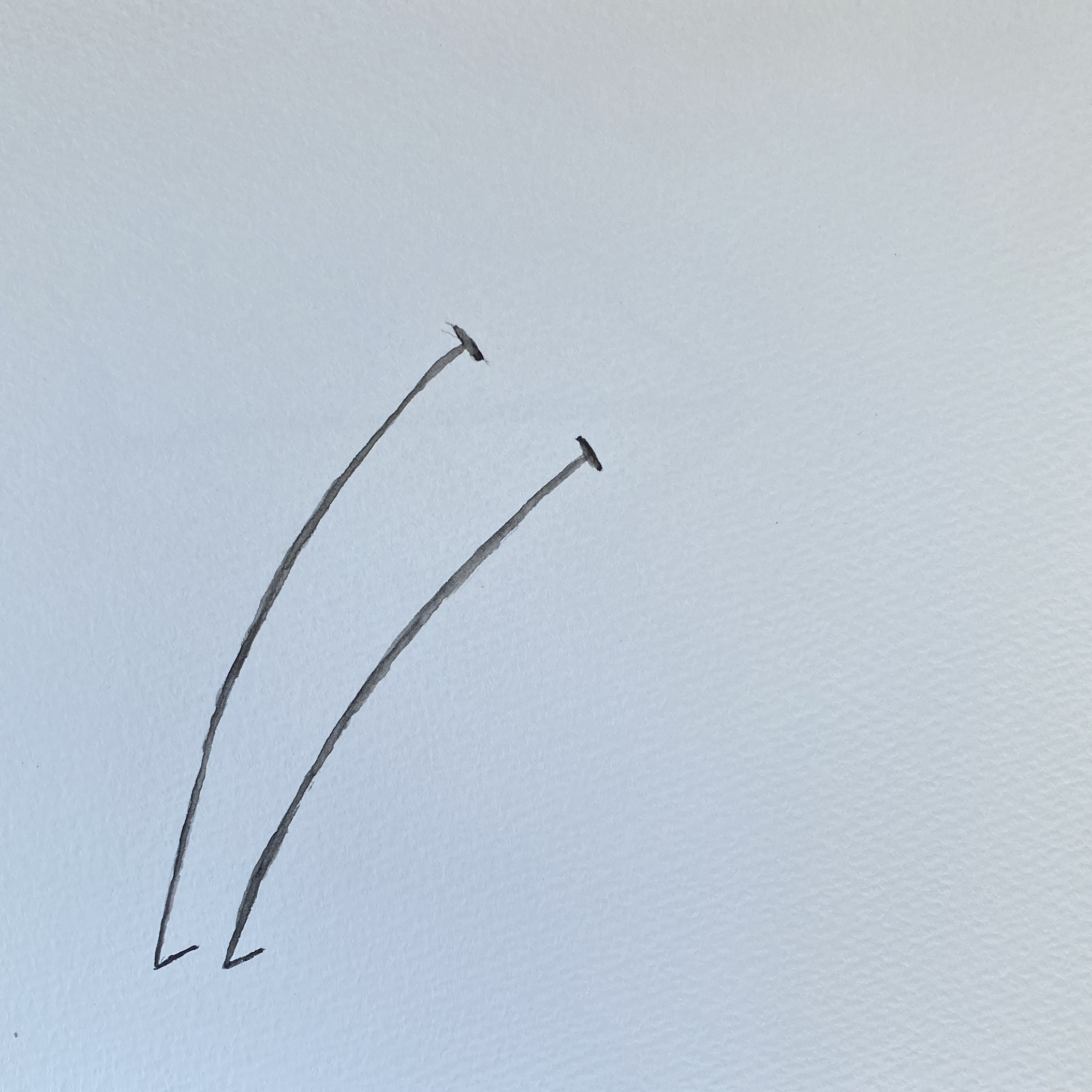 Antennae