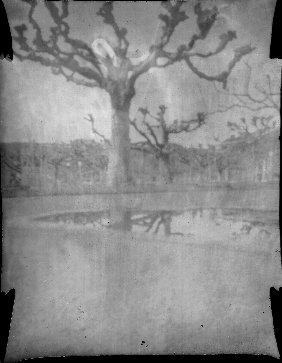 Pinhole, Jacob F., Film Photography, 12