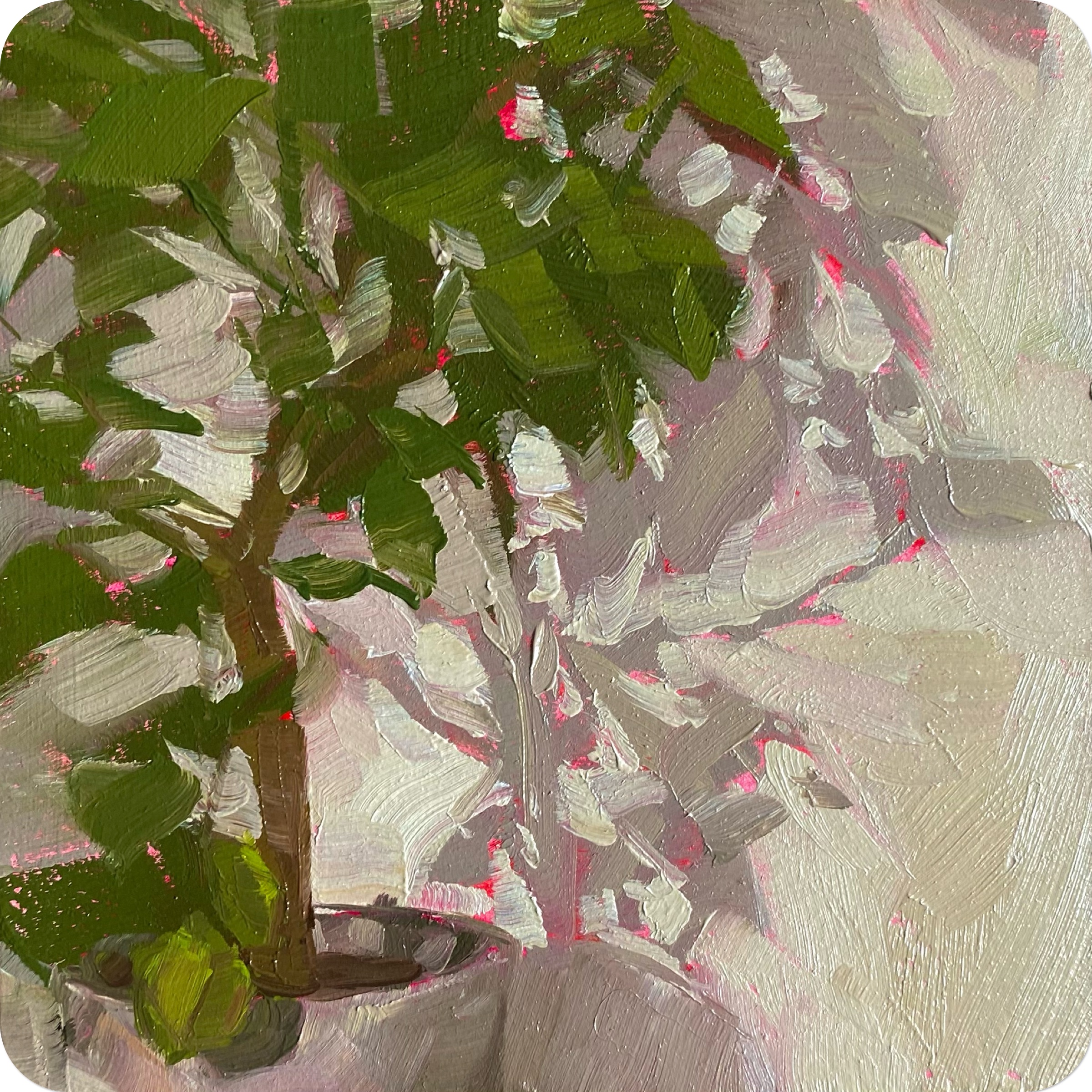 lemon tree shadow shapes pt 2, 202410 x 10 cm oil on board