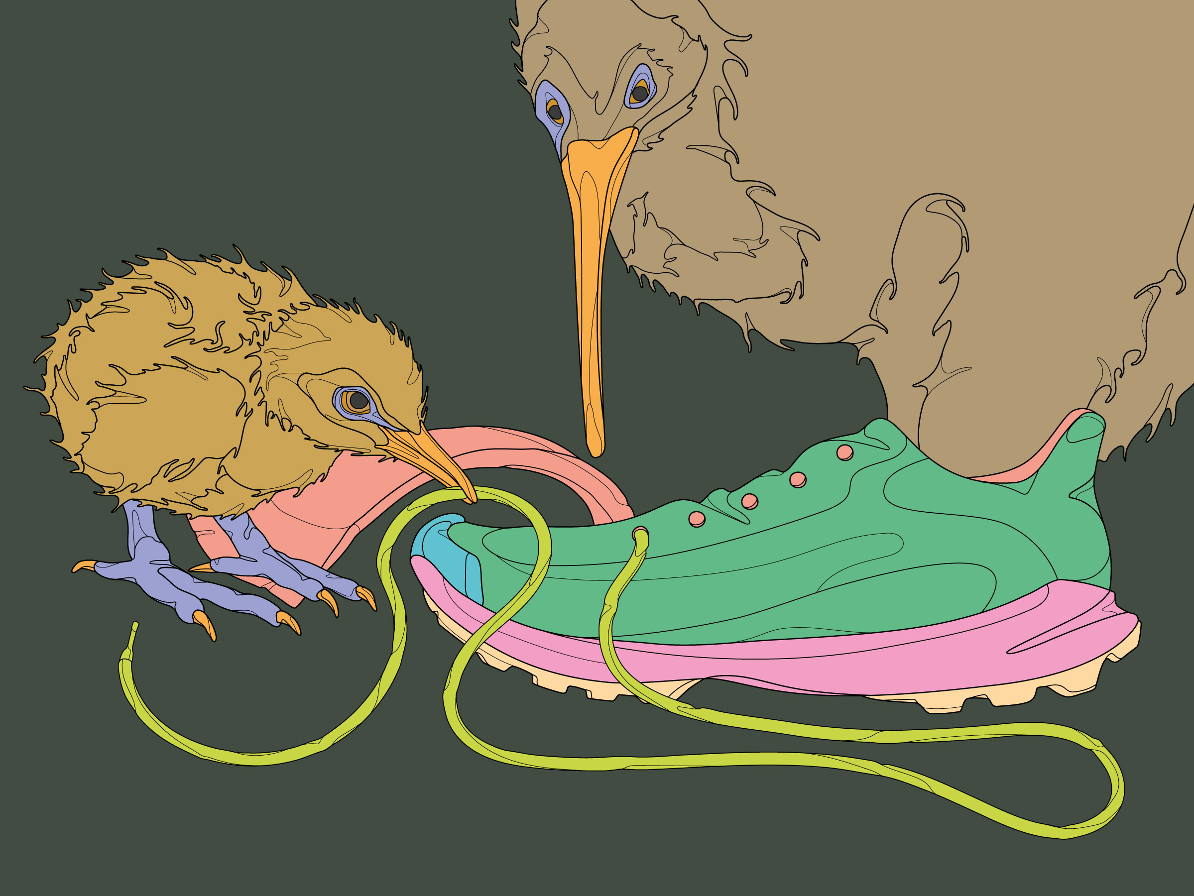 Von nassen Füssen und Kiwis | Of wet feet and kiwis