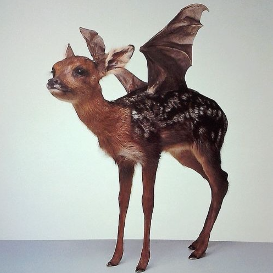 THOMAS GRÜNFELD - Misfit, 2005