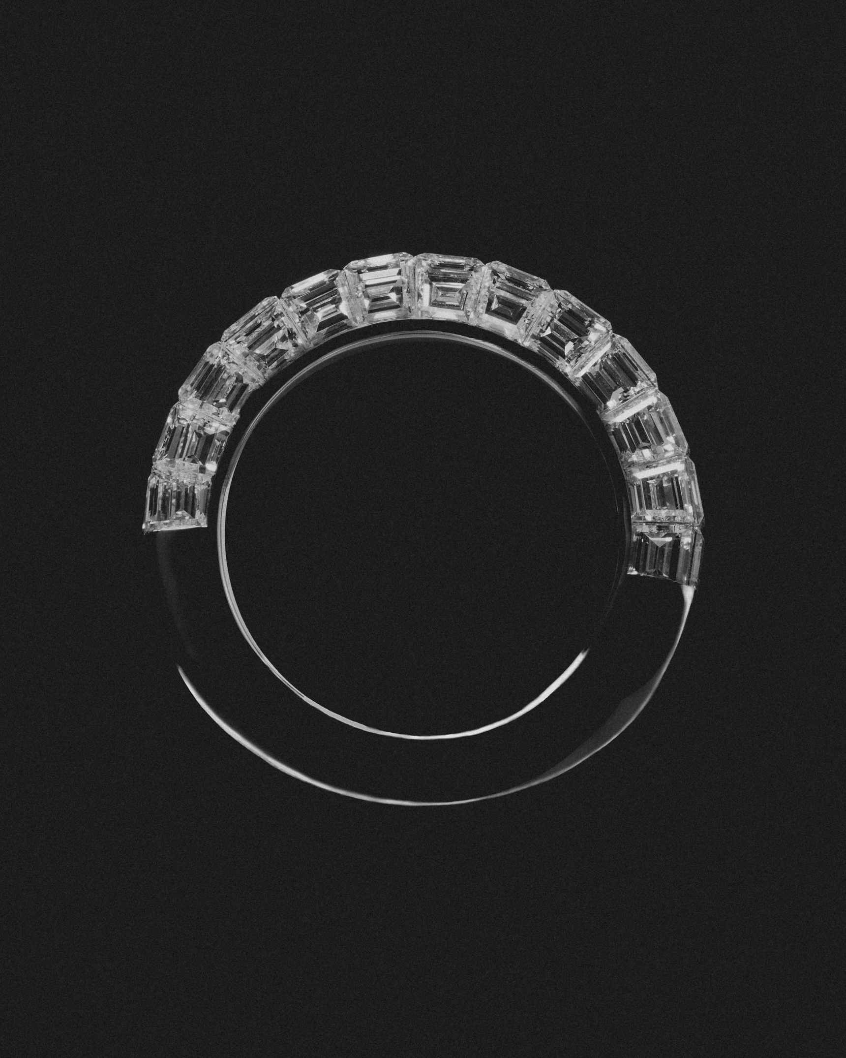 Preece Campaign - 2025