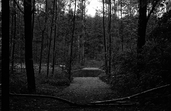 Sog, Oberwald 2010, Bartabzug 32x45cm