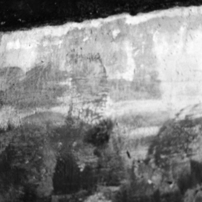 Partial Immurement Studies