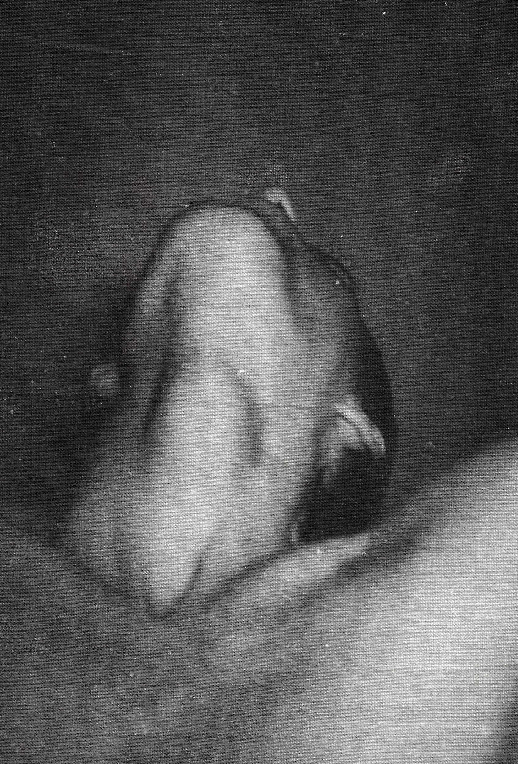 Calitypia print on cotton, 15x22,5, 1/1, 2023