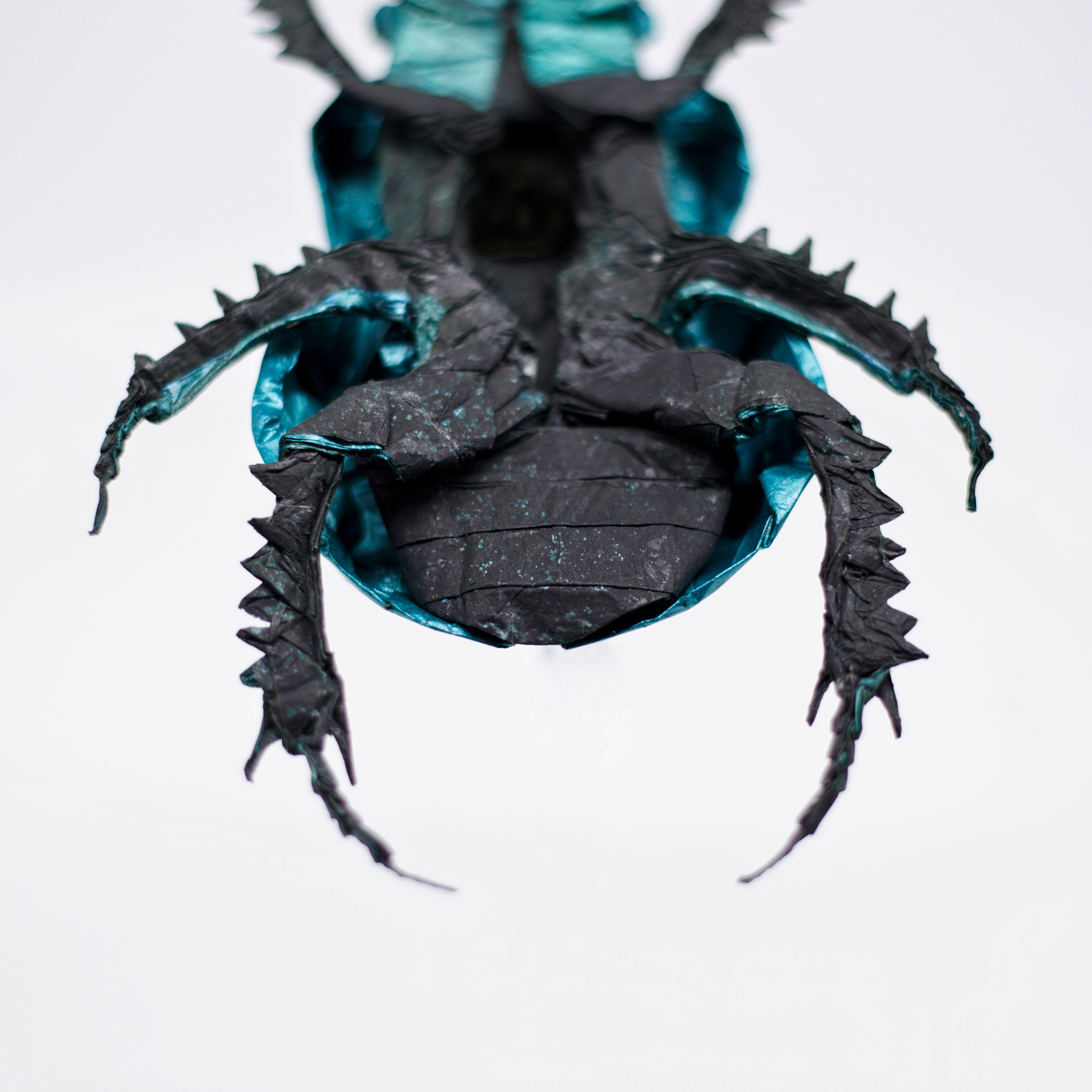 Trypocopris Vernalis