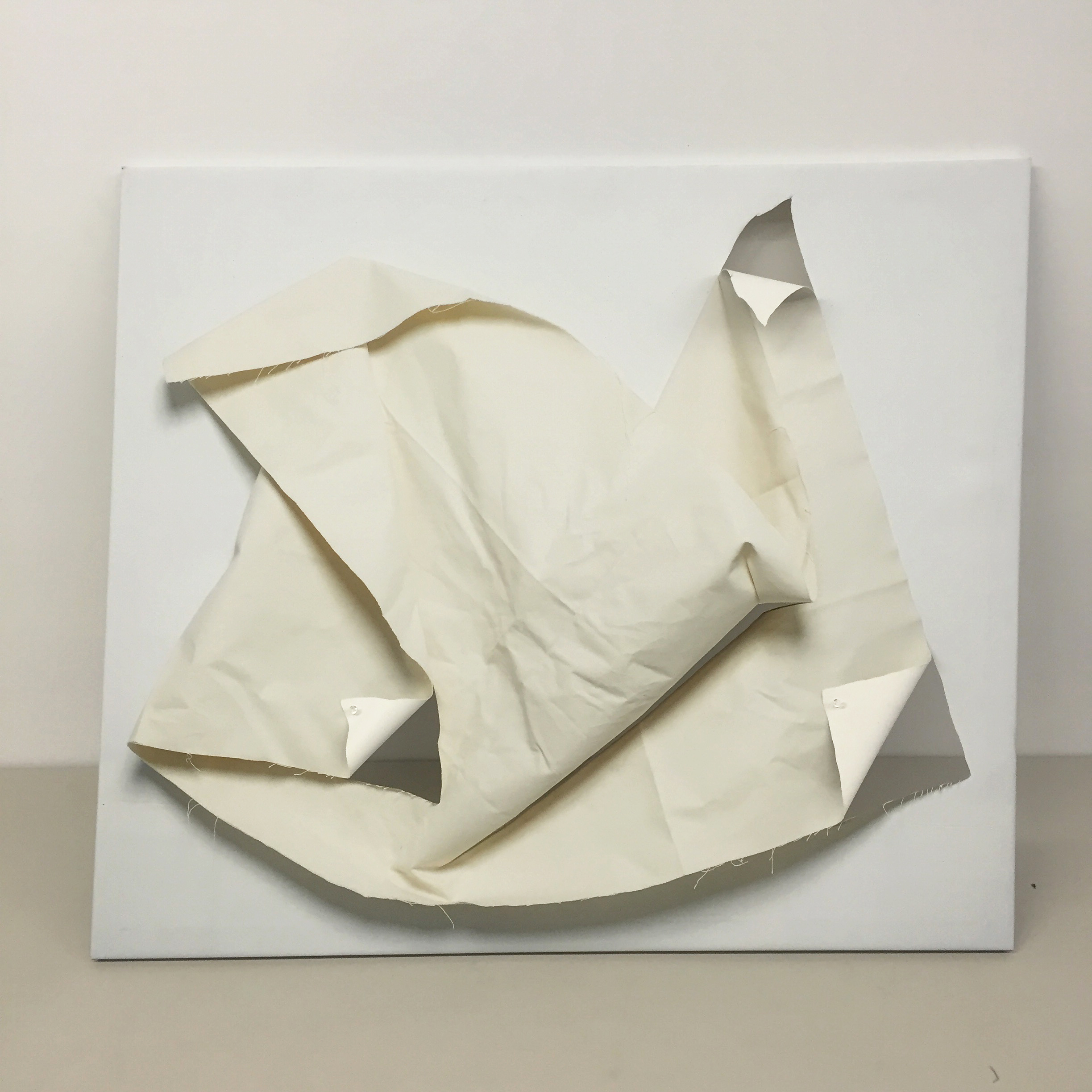 "Ouroboros 2"40"x50" inkjet printed canvas on stretcher, pins