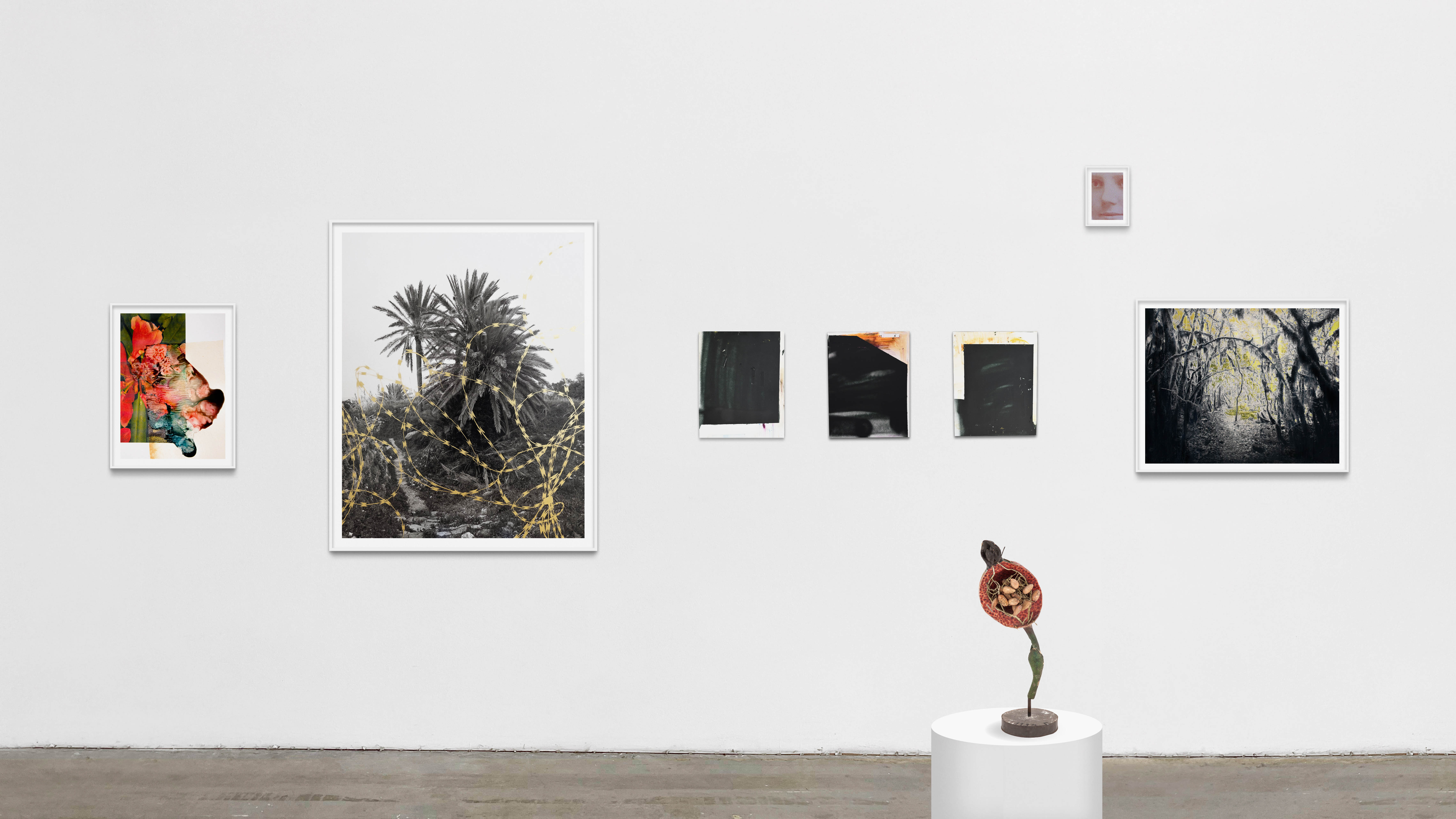  BIANCOMURO 3   — septembre 2024