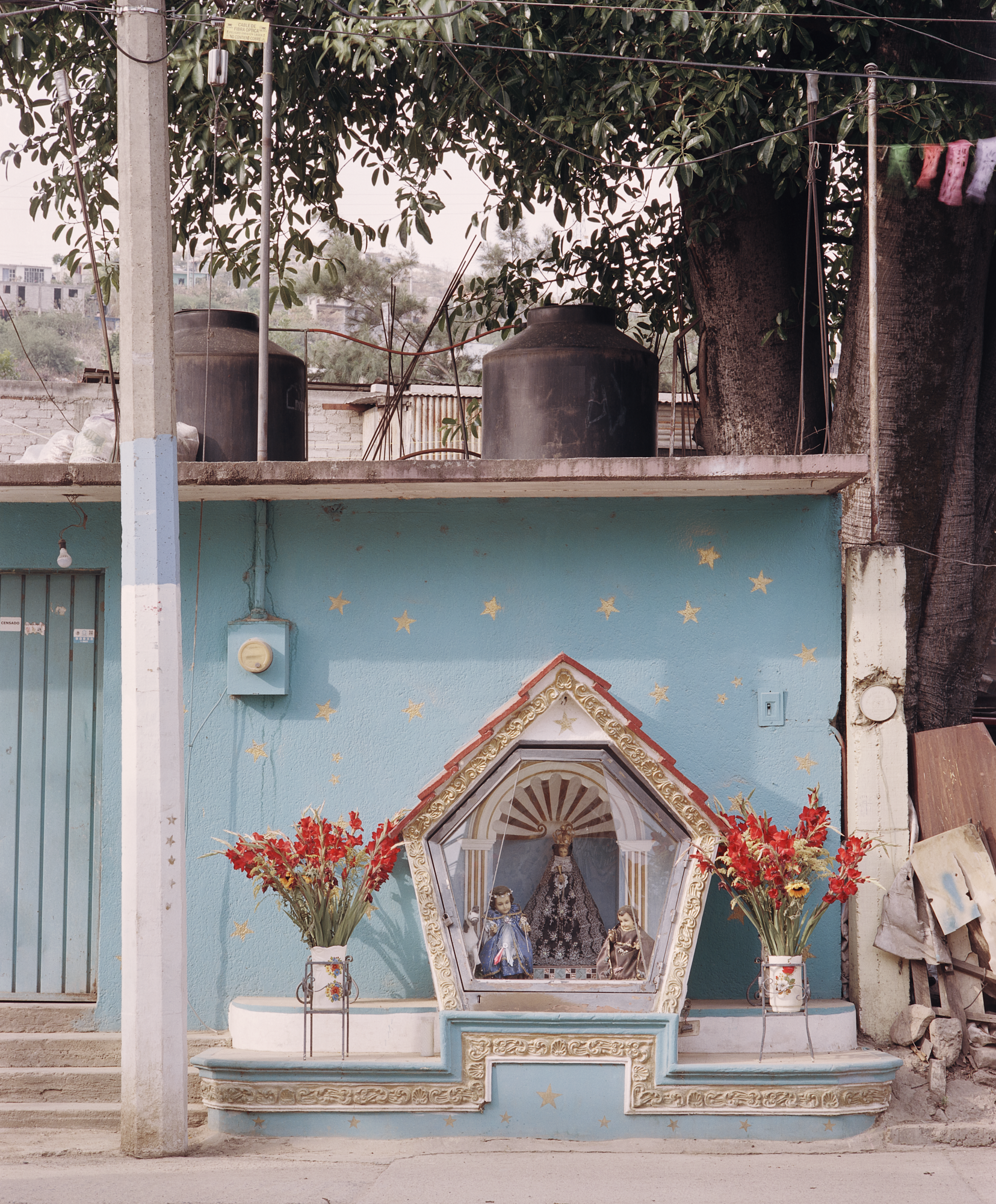 29/35, Untitled 2022