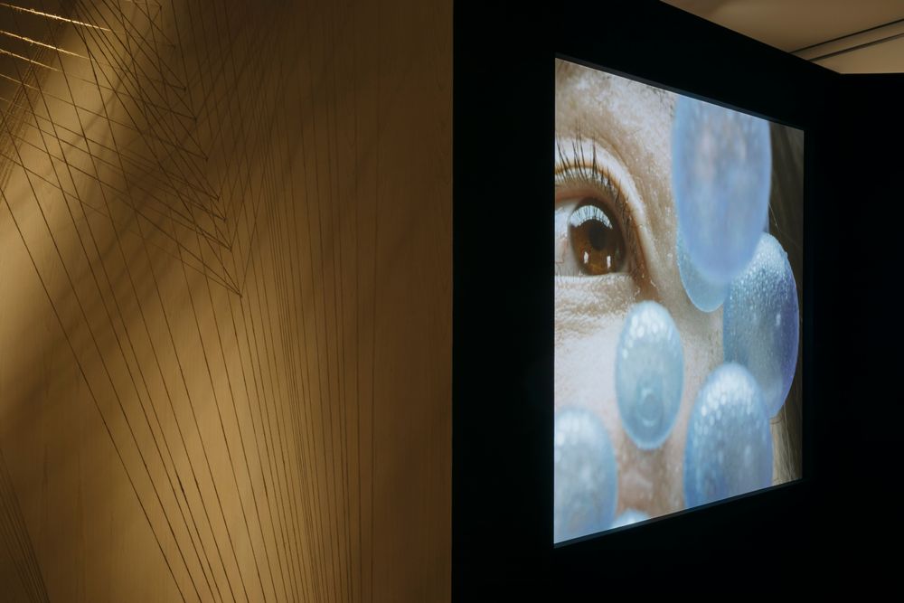 Installation view showing a campaign film being projected onto a gallery wall.