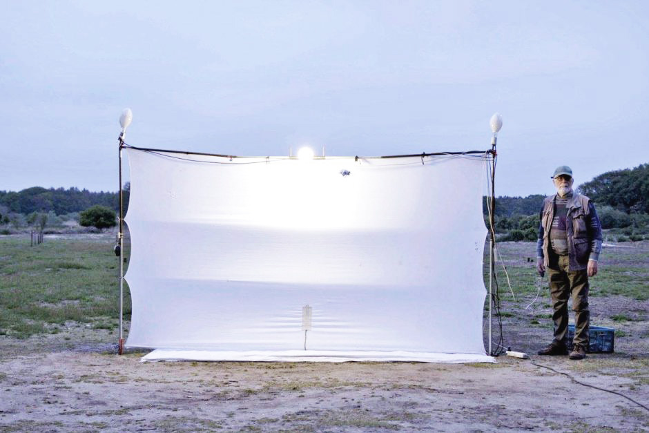 We definitely need to ease off the chemi’s and increase high quality habitat for our pollinators.