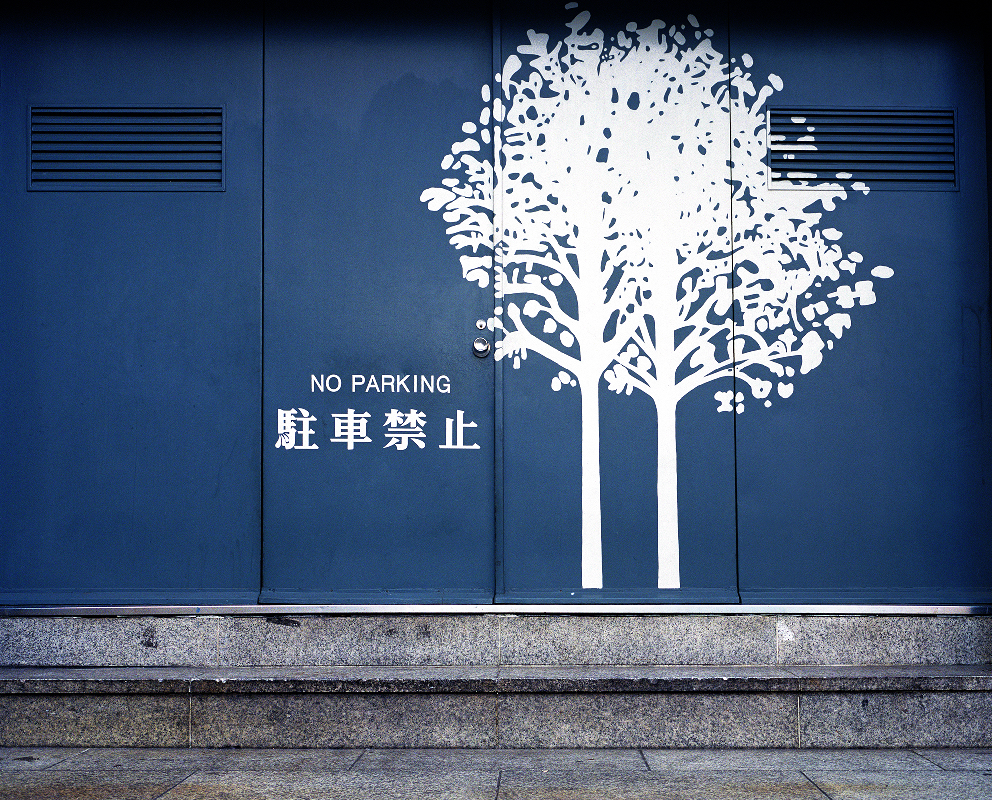 No Parking  Patrícia Almeida