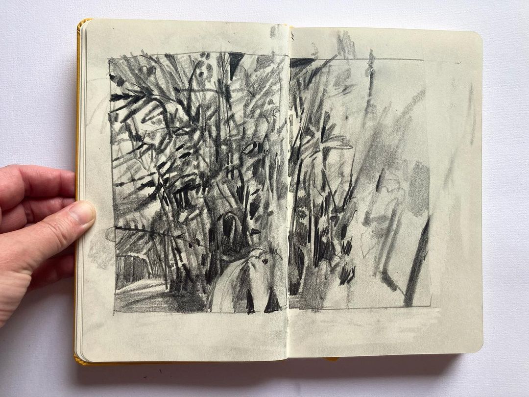 An open sketchbook with a pencil drawing of plants and the shade they cast