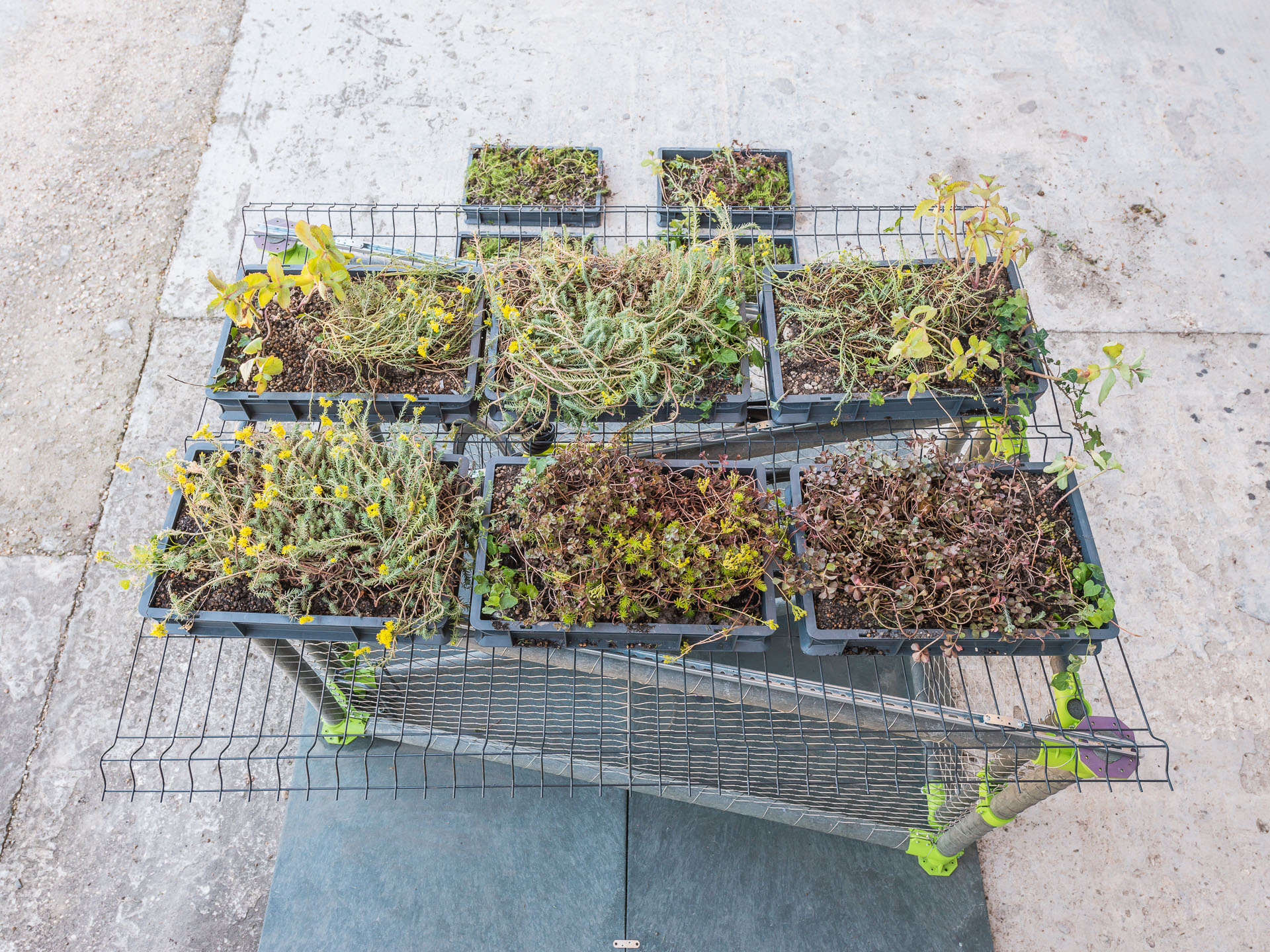 [biela], device for bikes & urban planter – Innovation Agency of the Municipality of Valladolid, AEICE, Valladolid, (Fotografía: J.C. Quindós) 2020.
